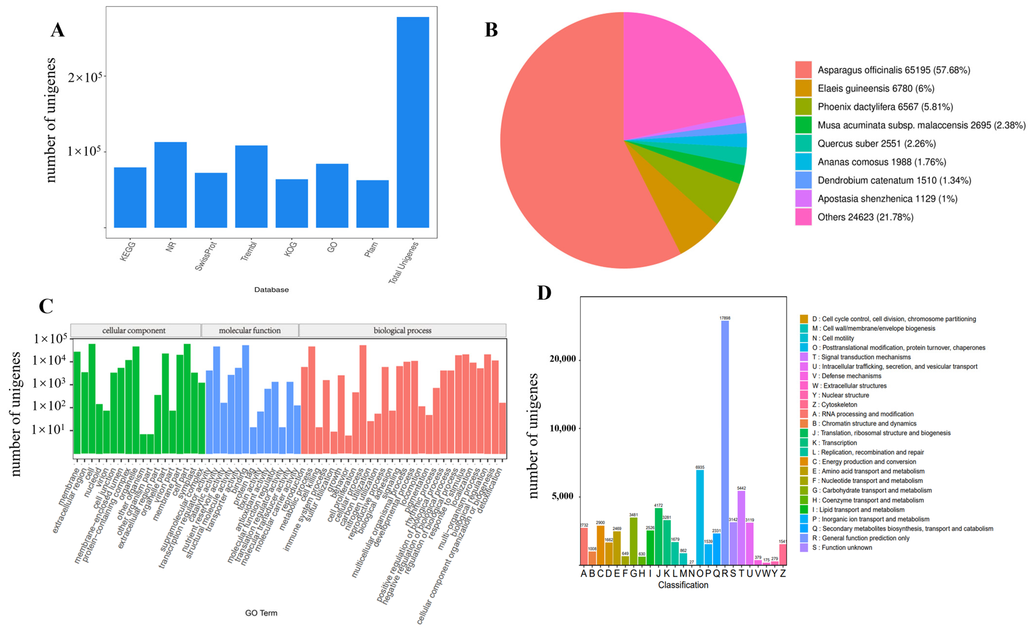 Plants 13 01524 g002