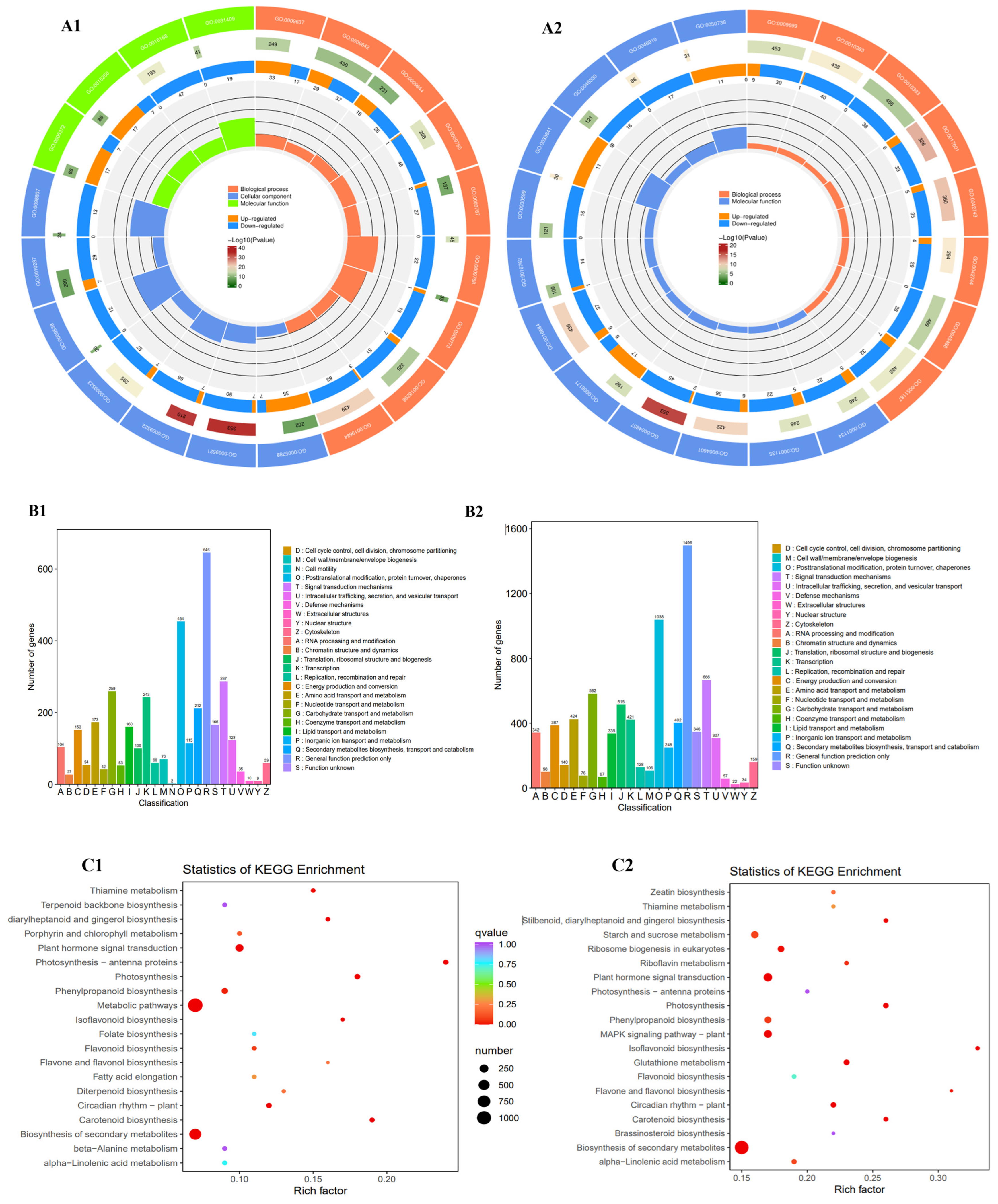 Plants 13 01524 g003a