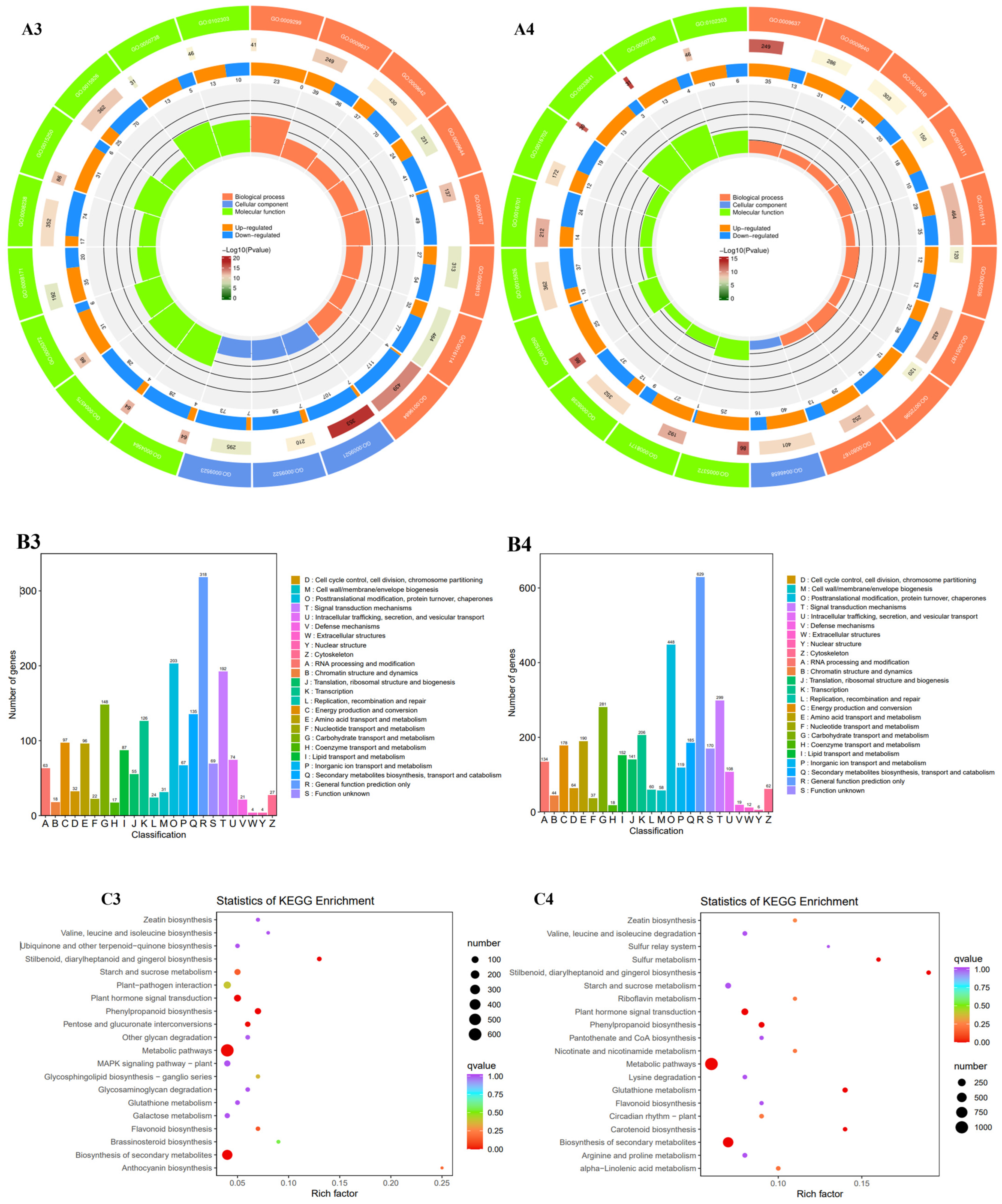 Plants 13 01524 g003b