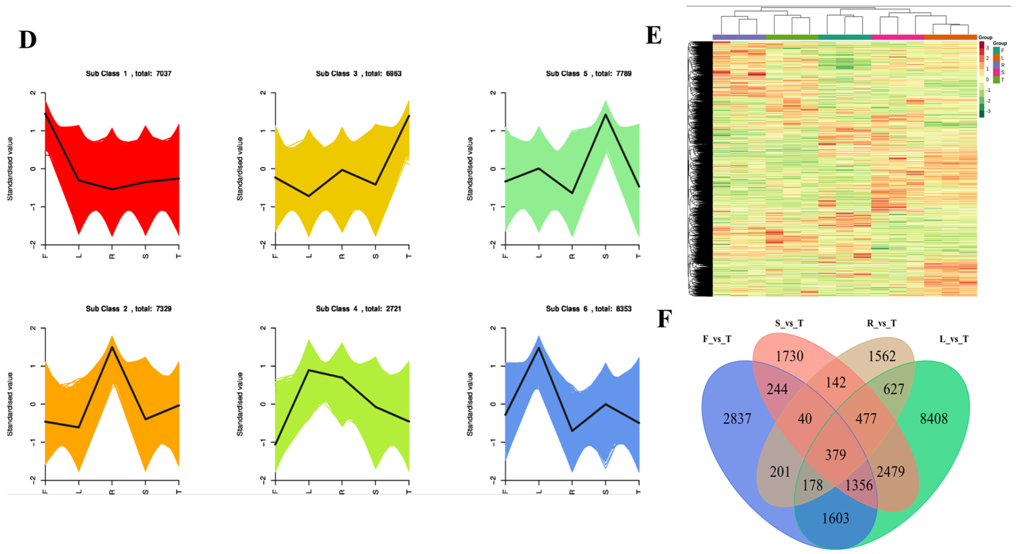 Plants 13 01524 g003c