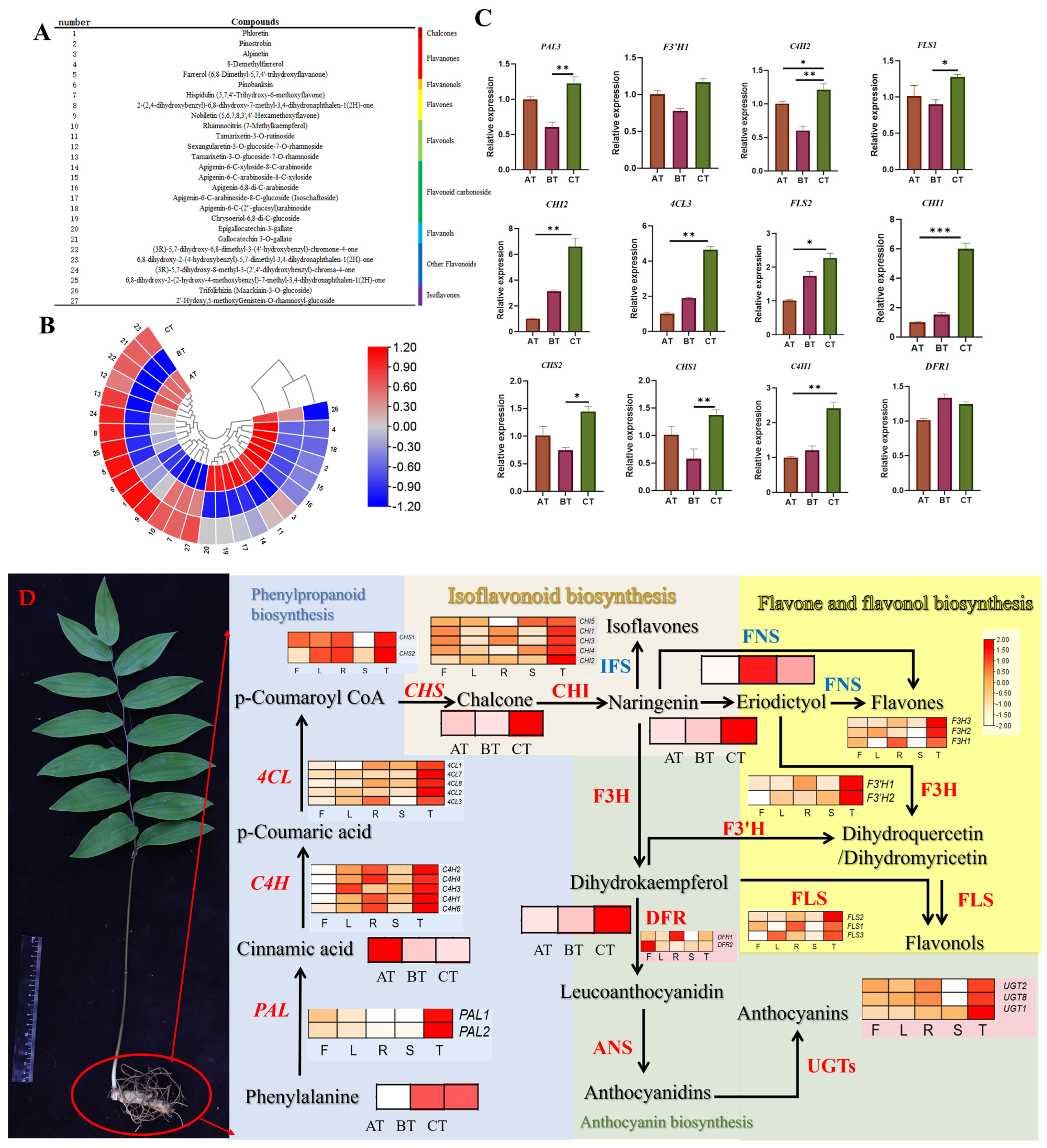 Plants 13 01524 g004