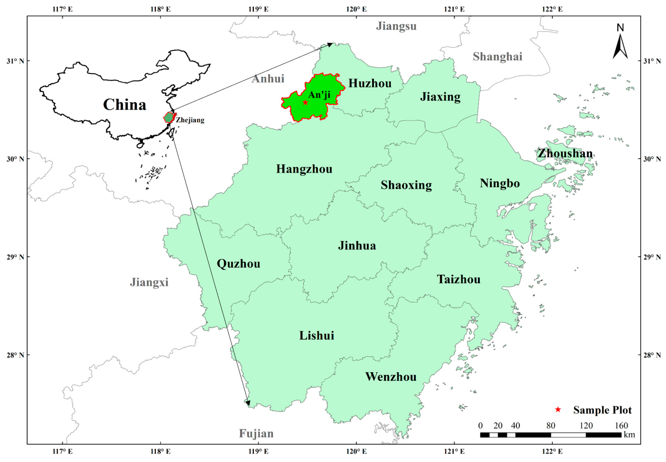 Plants 13 01526 g006