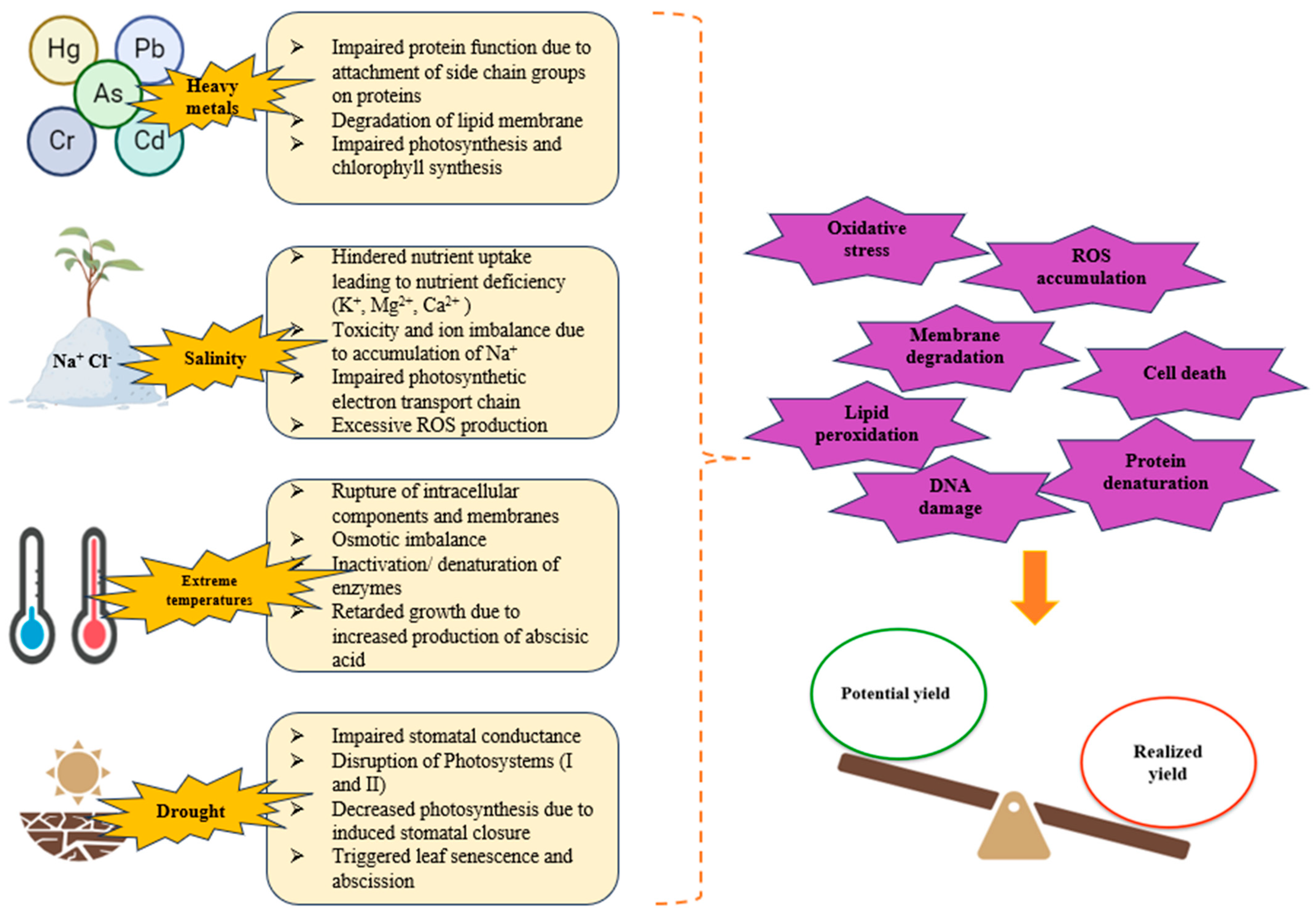 Plants 13 01528 g002