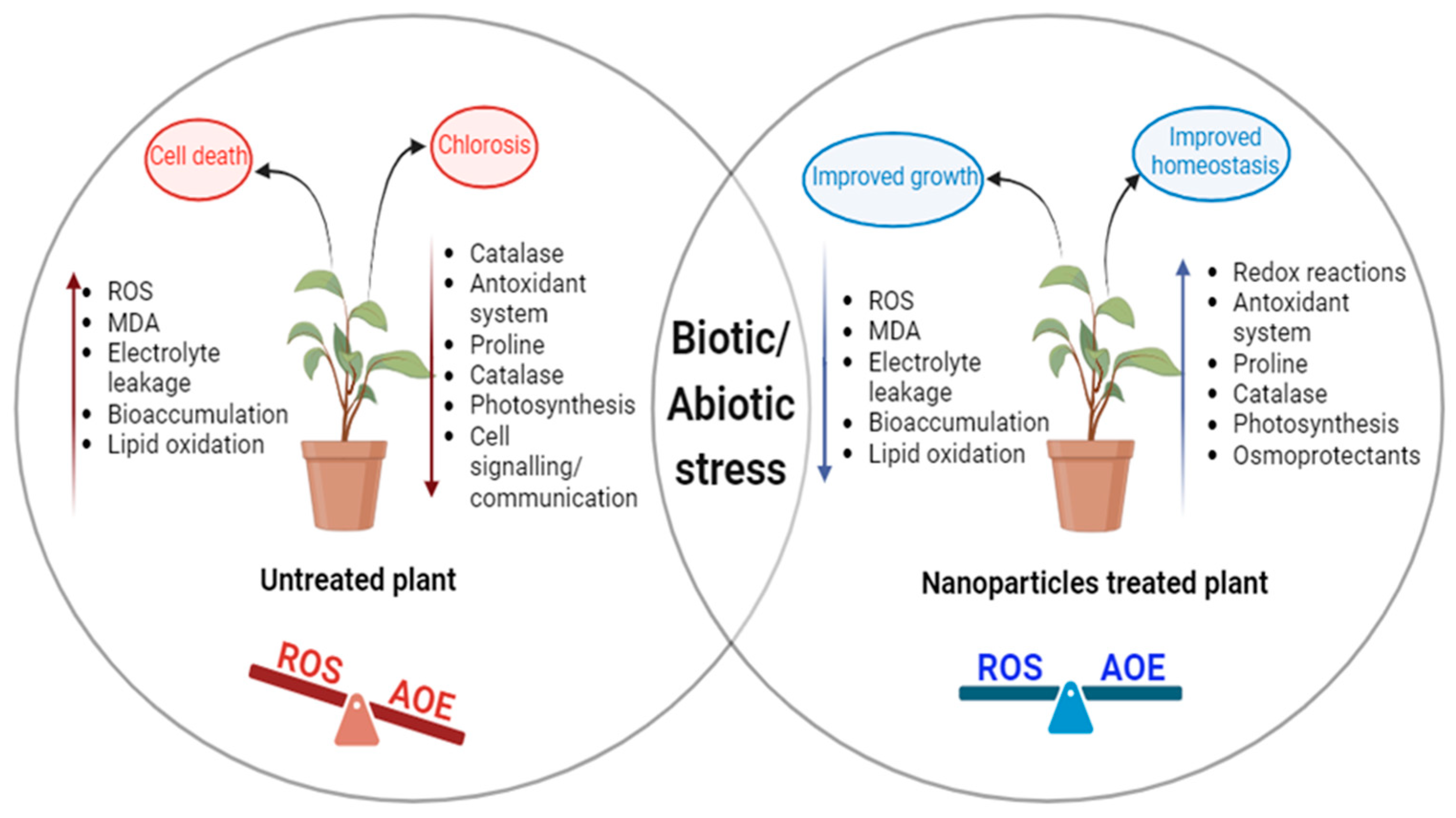 Plants 13 01528 g003