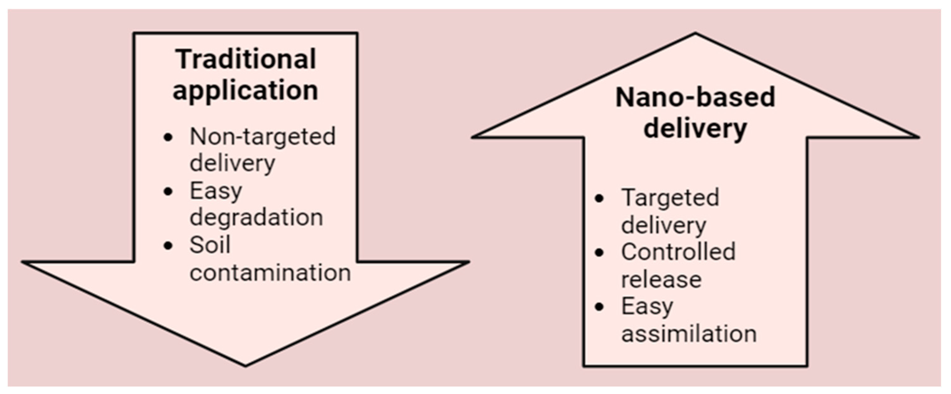 Plants 13 01528 g004