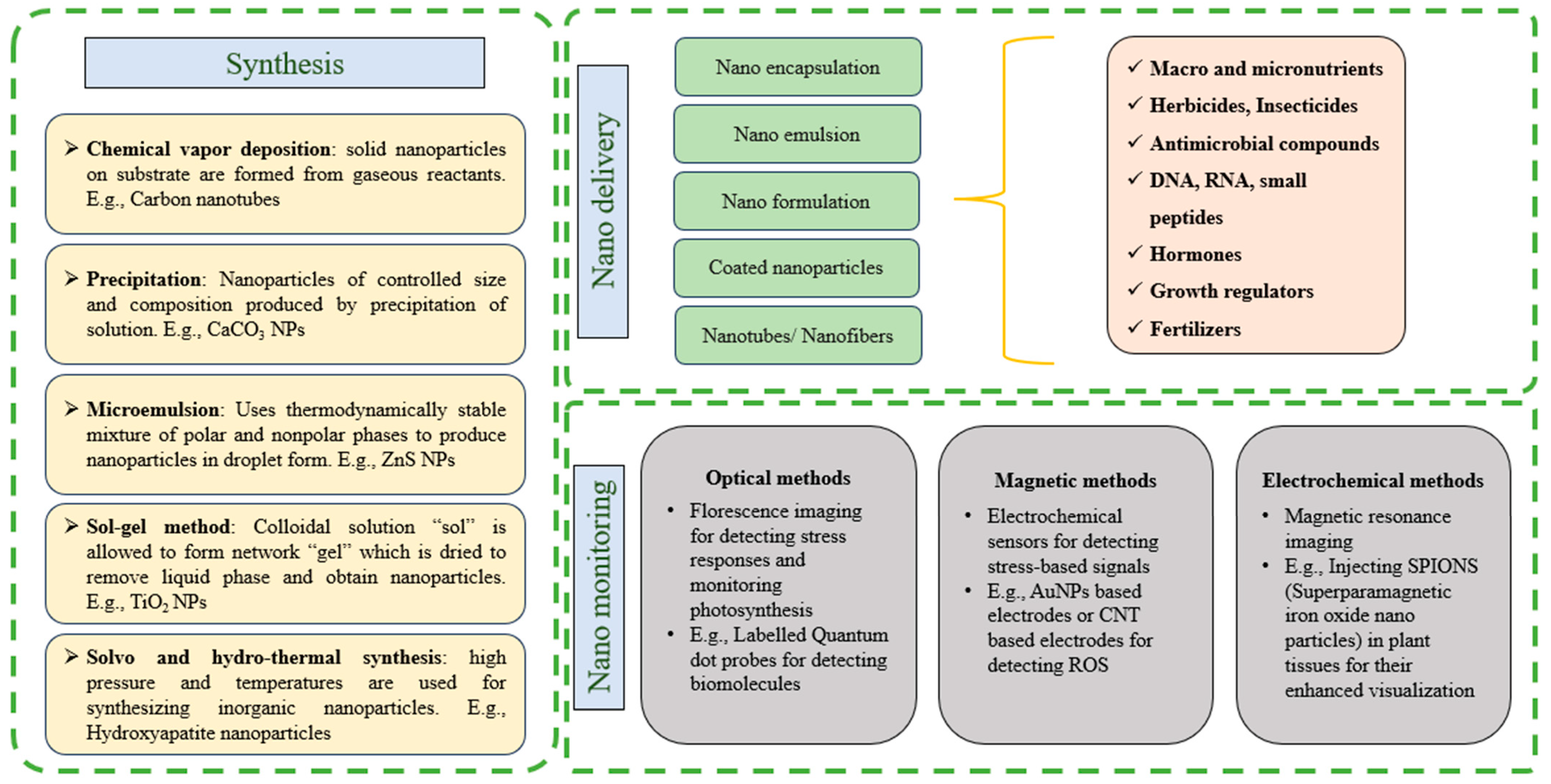 Plants 13 01528 g005