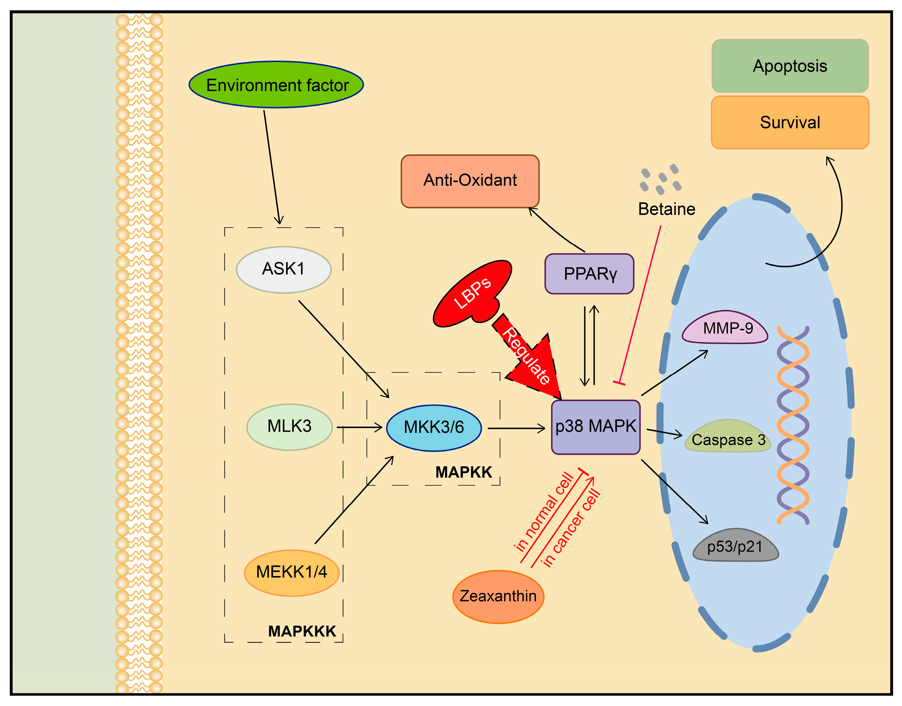 Plants 13 01531 g006