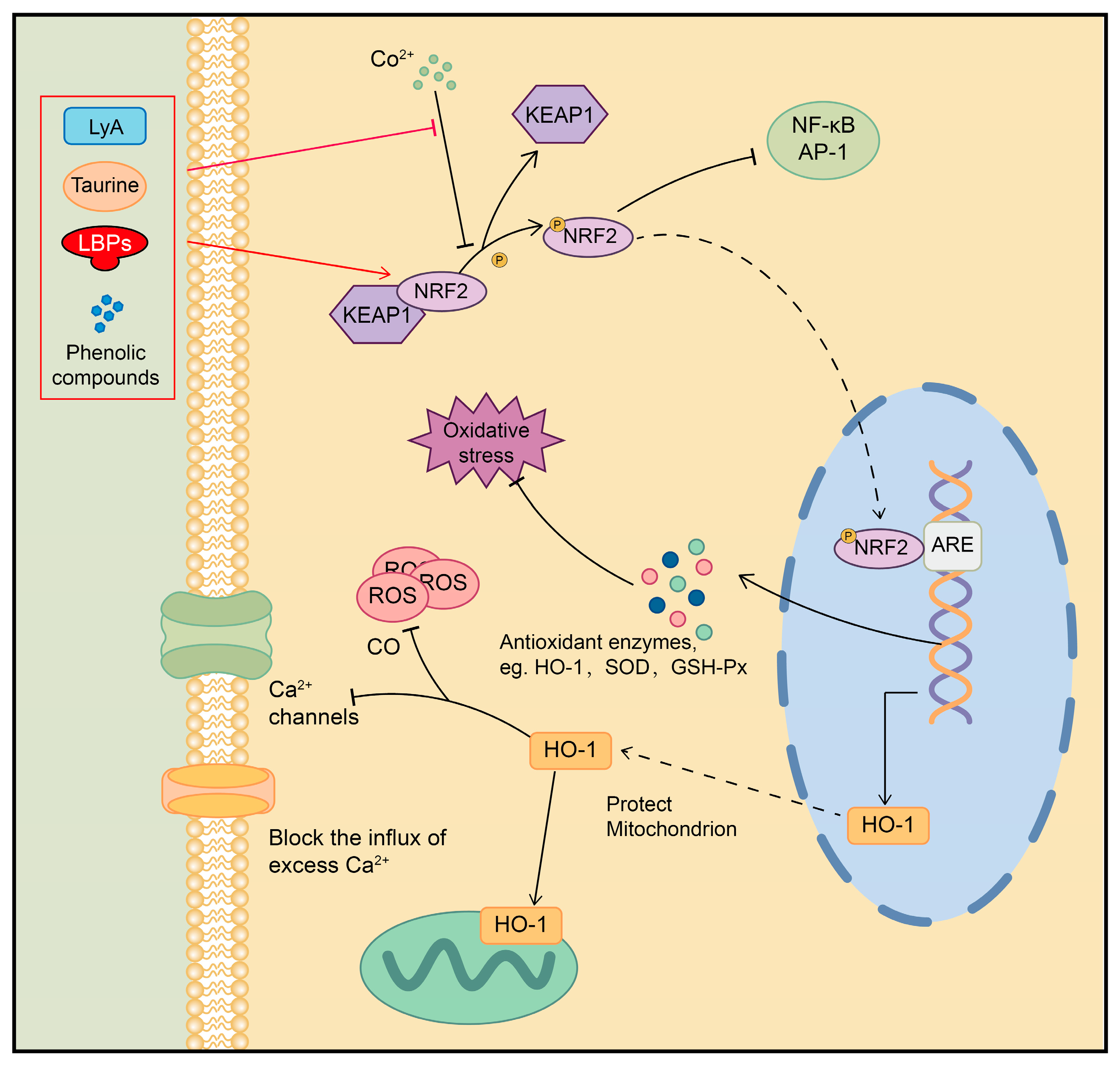 Plants 13 01531 g007
