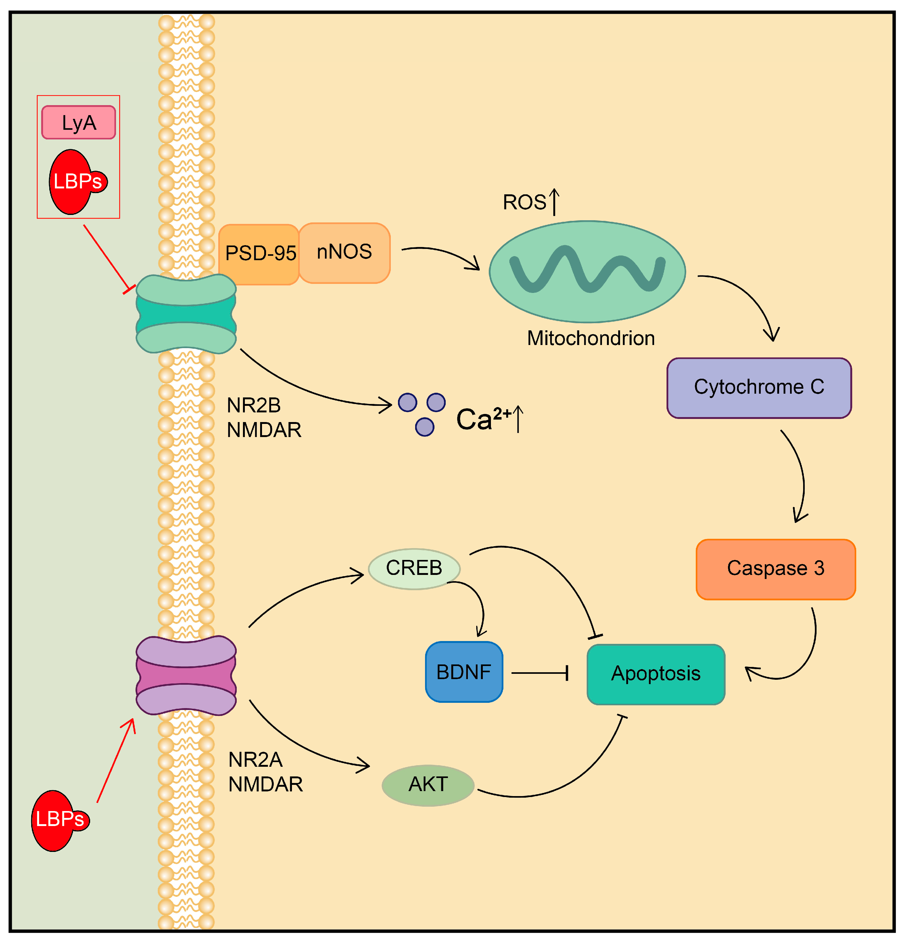 Plants 13 01531 g008