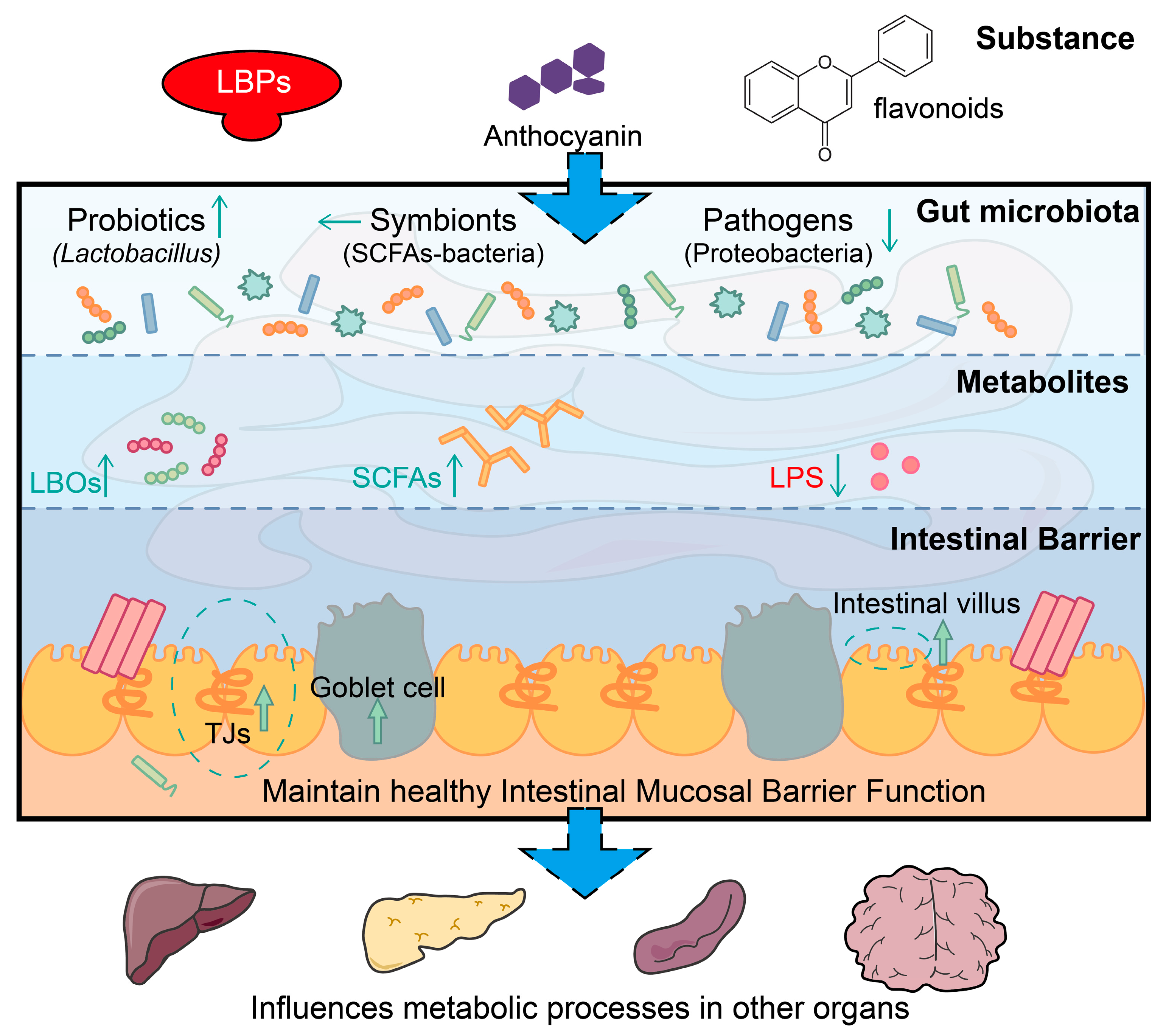 Plants 13 01531 g009
