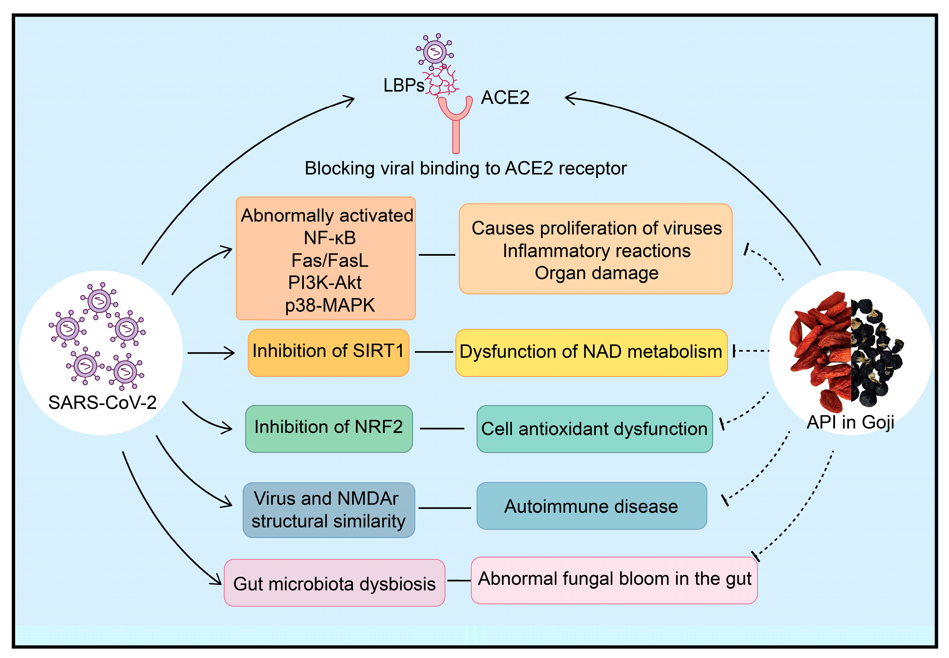 Plants 13 01531 g010