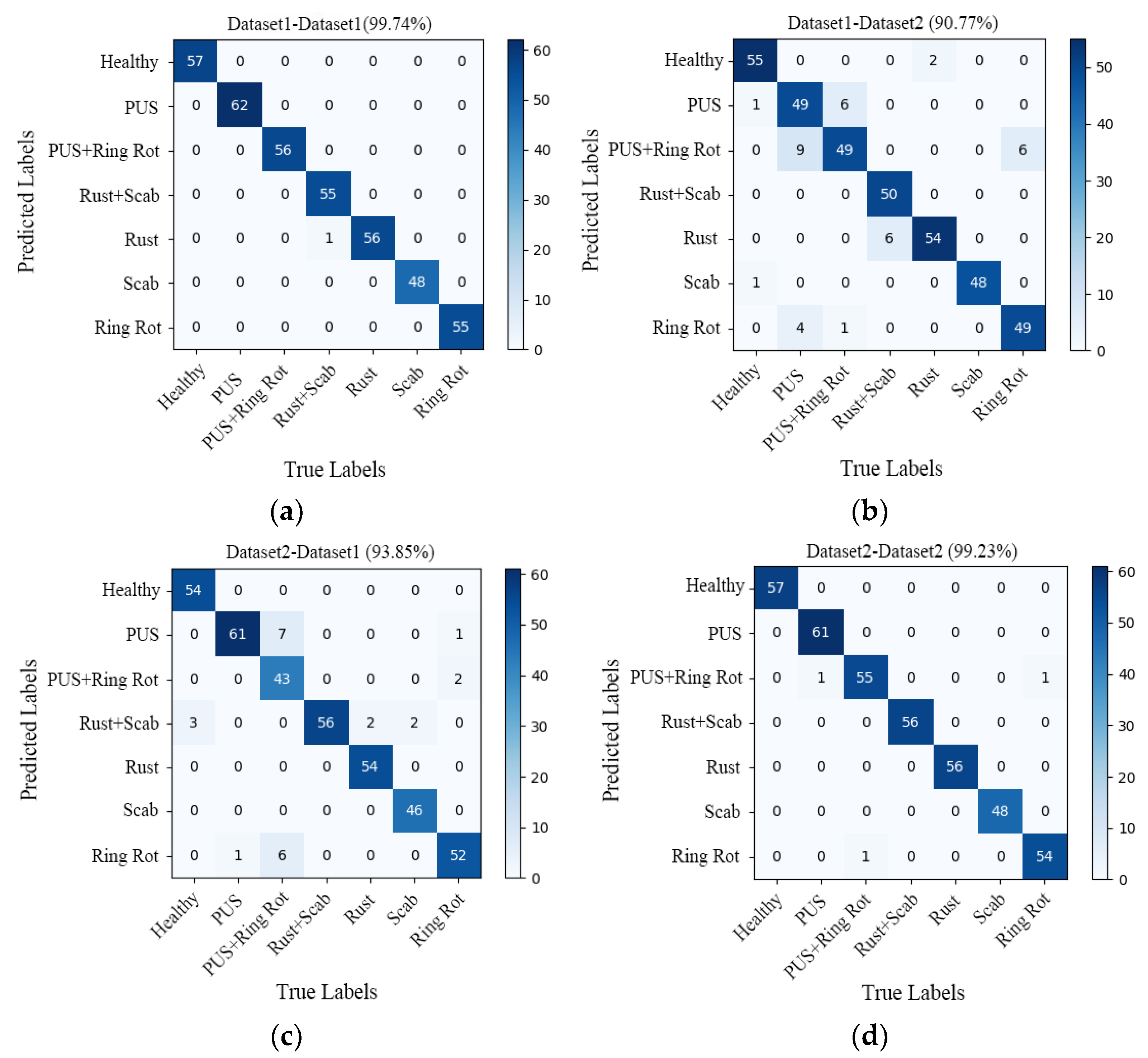 Plants 13 01535 g010