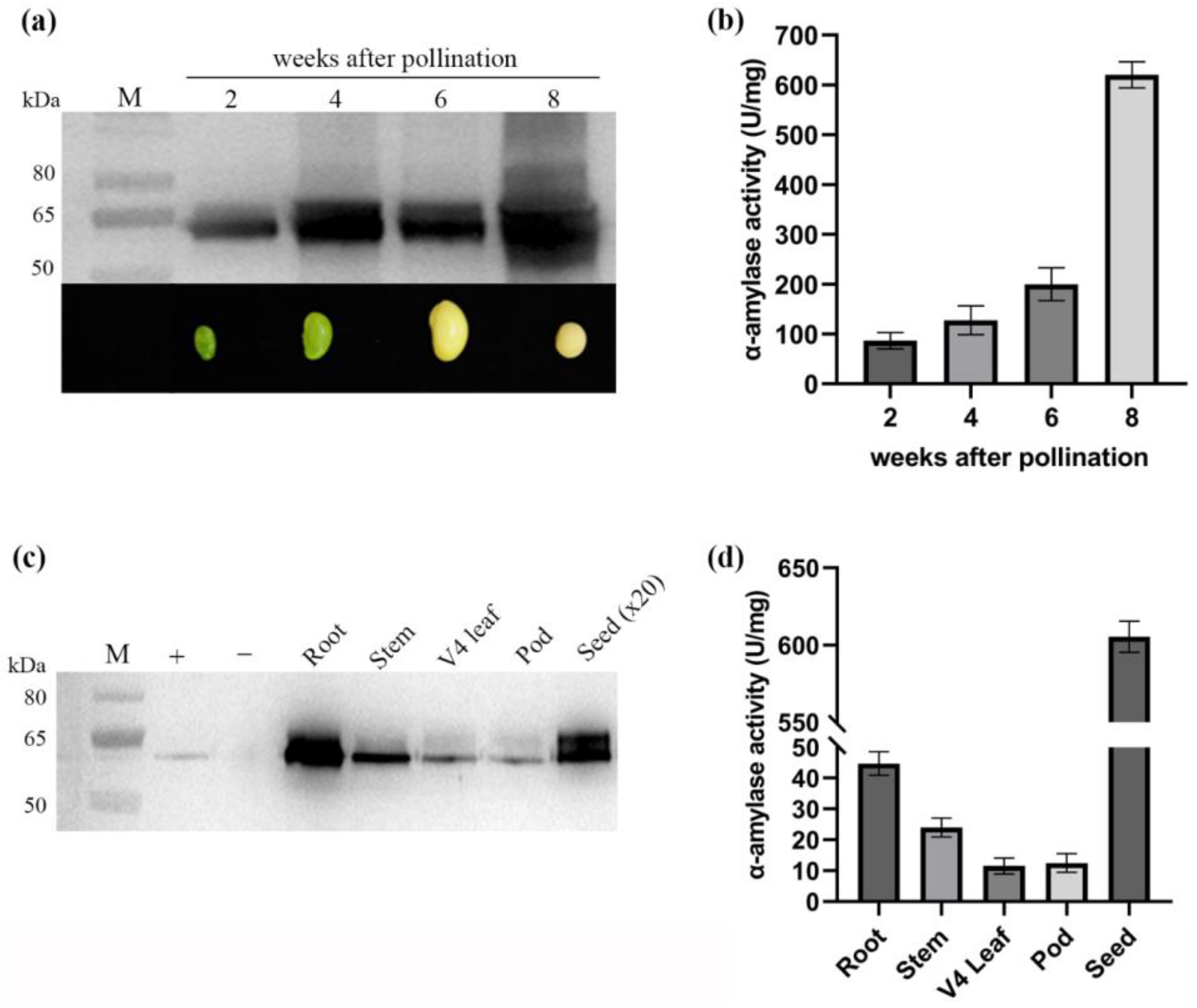 Plants 13 01539 g006