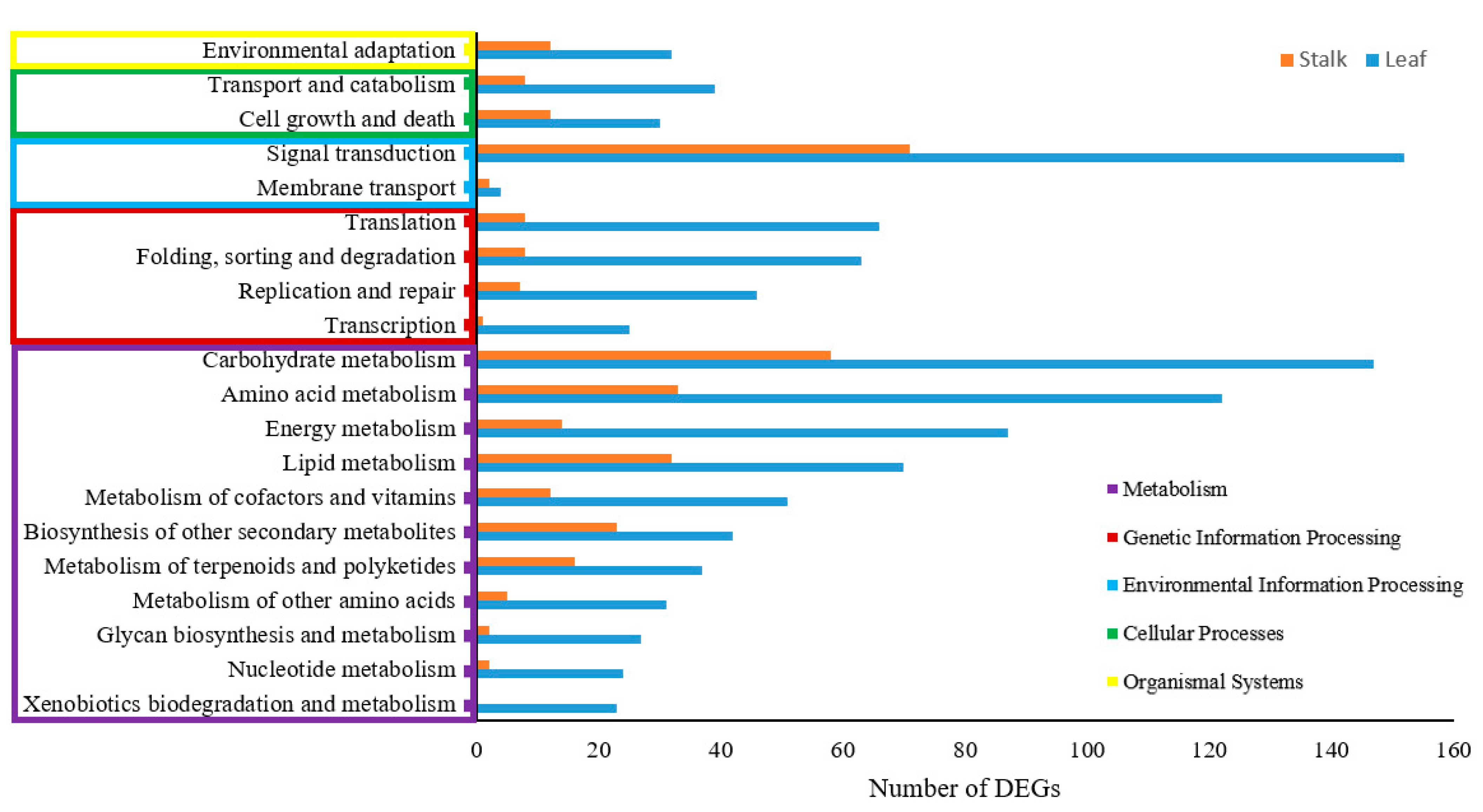 Plants 13 01551 g002