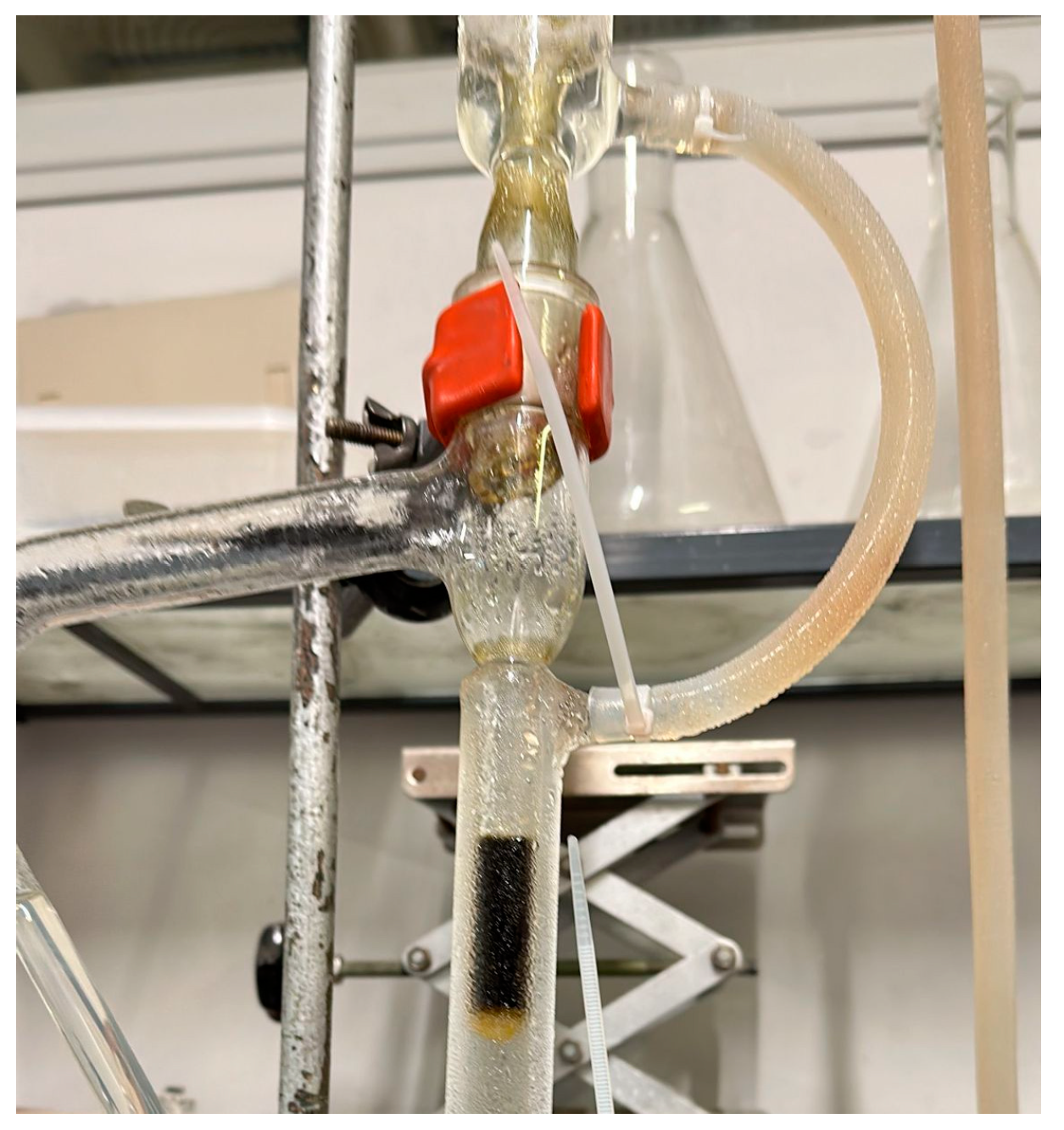 Plants 13 01555 g003