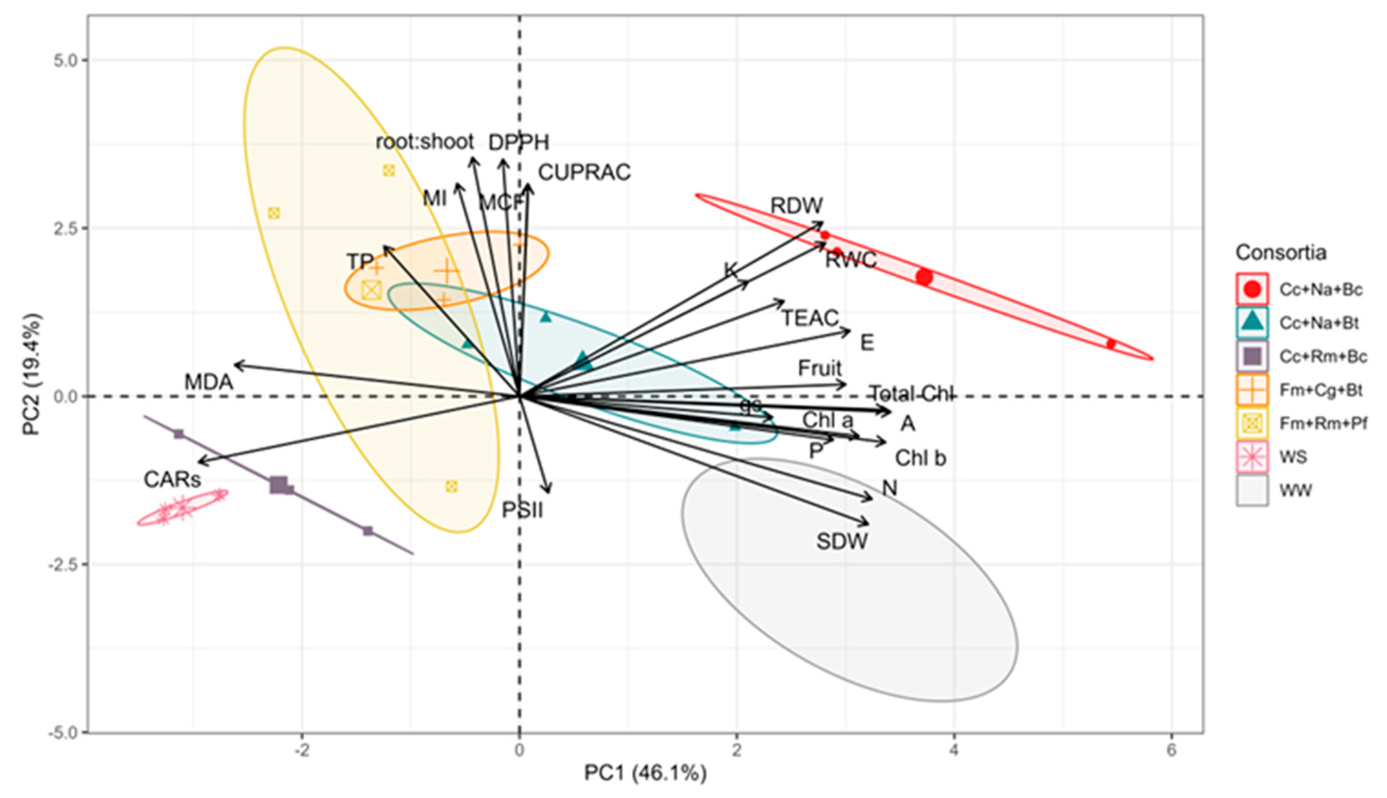 Plants 13 01556 g006