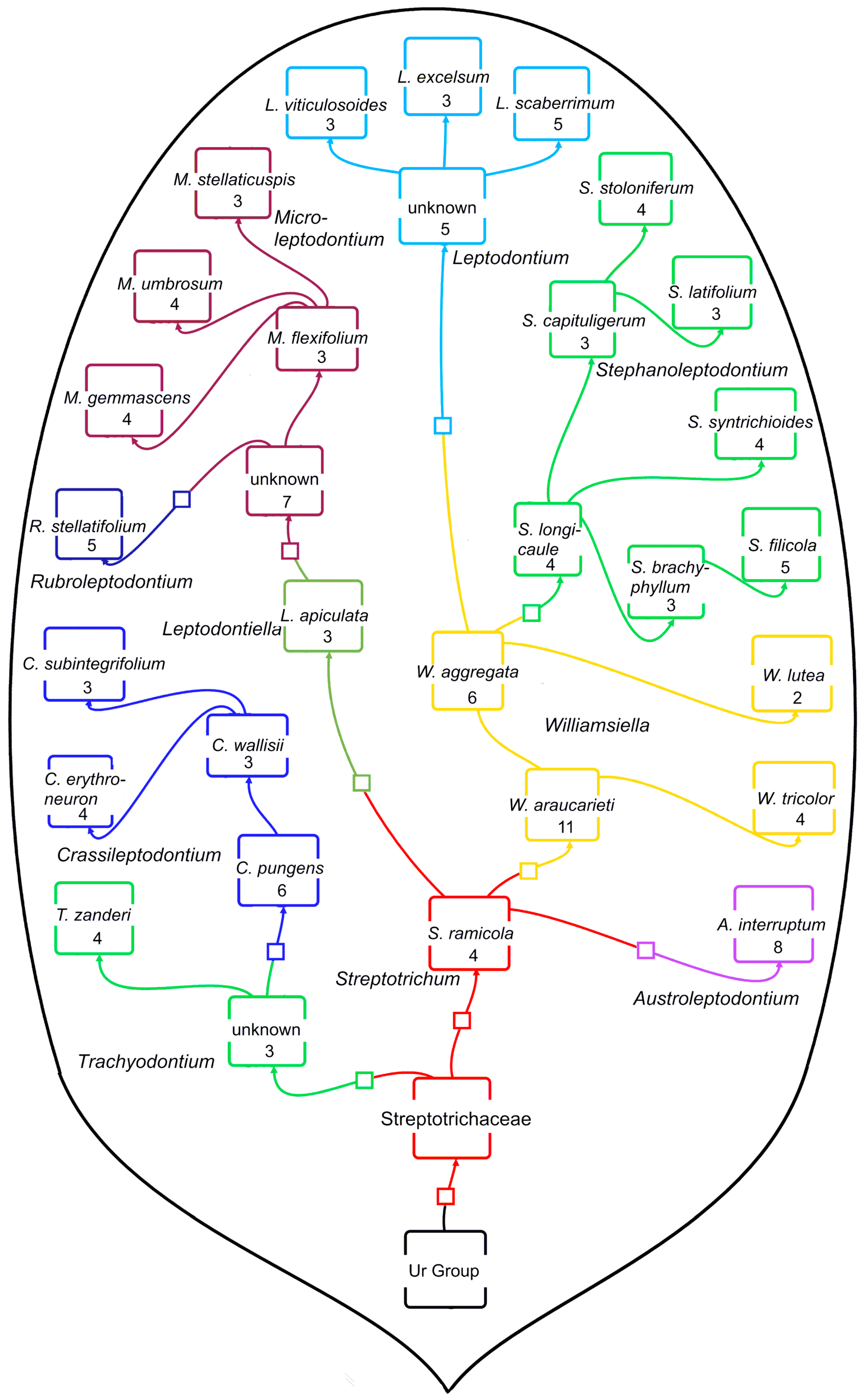 Plants 13 01559 g001