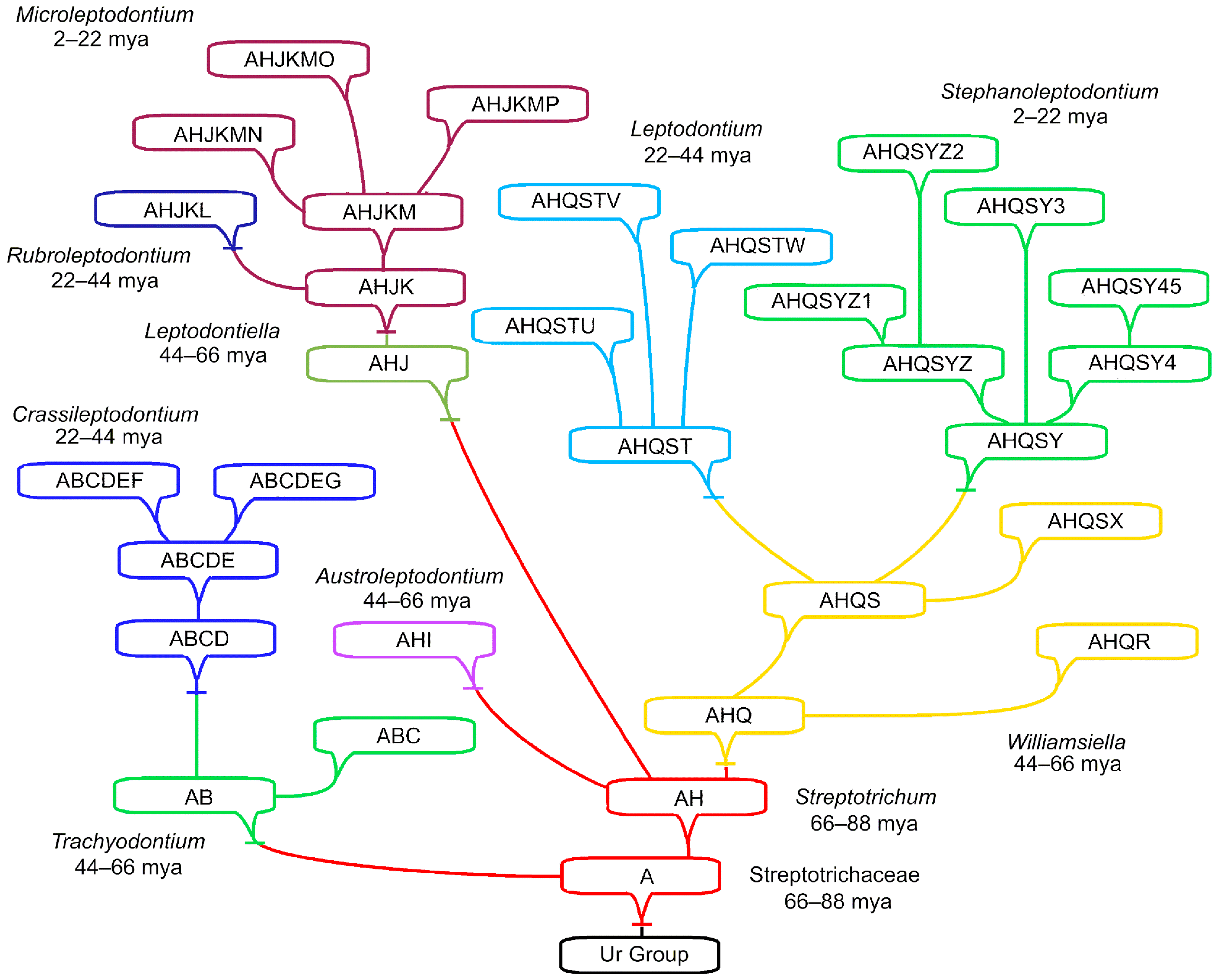 Plants 13 01559 g002