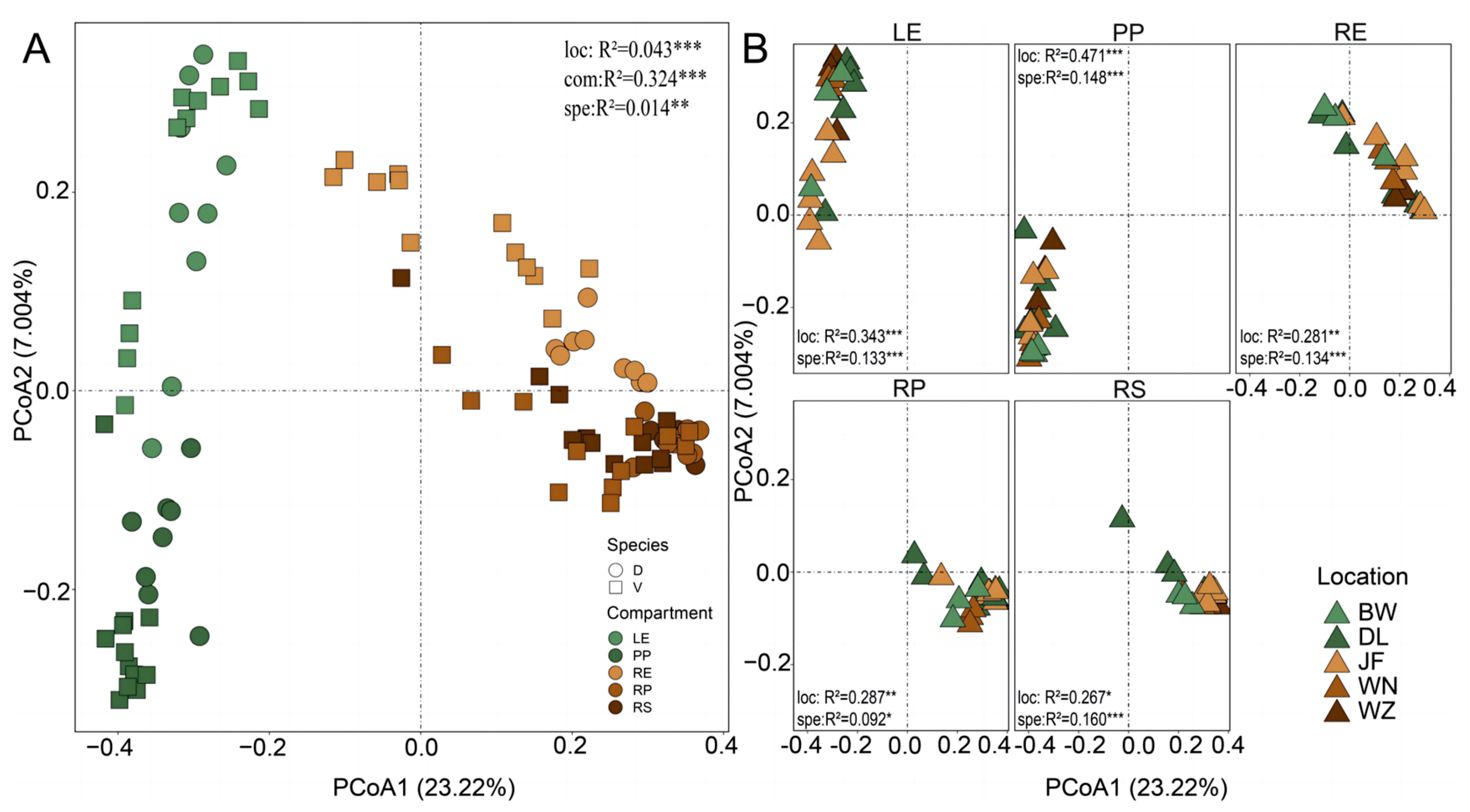 Plants 13 01565 g002