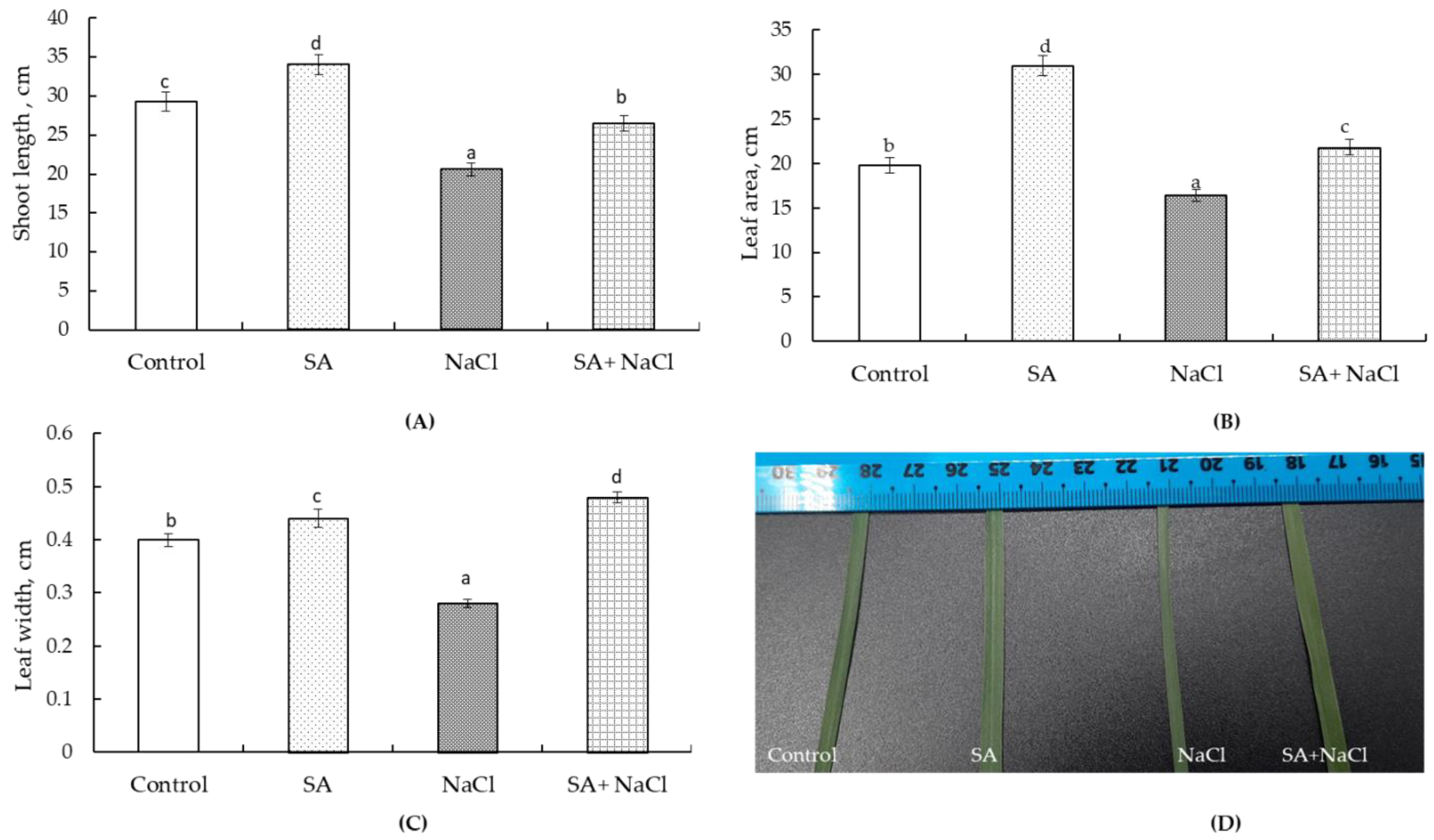 Plants 13 01569 g001