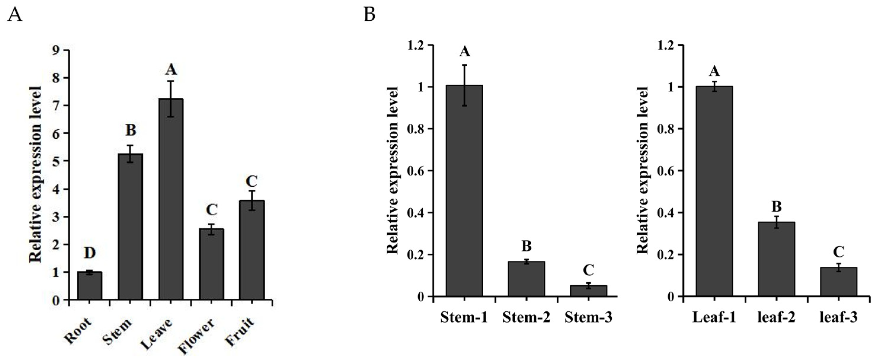 Plants 13 01570 g002