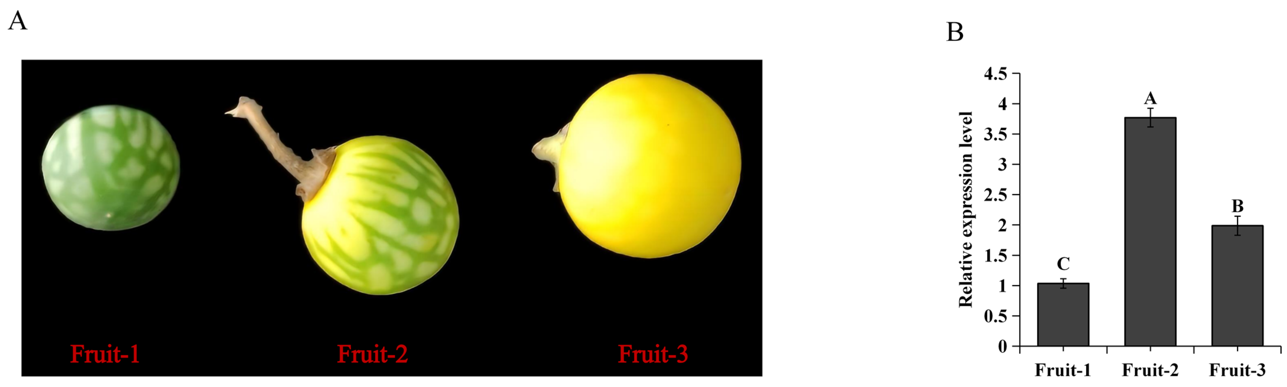 Plants 13 01570 g003a