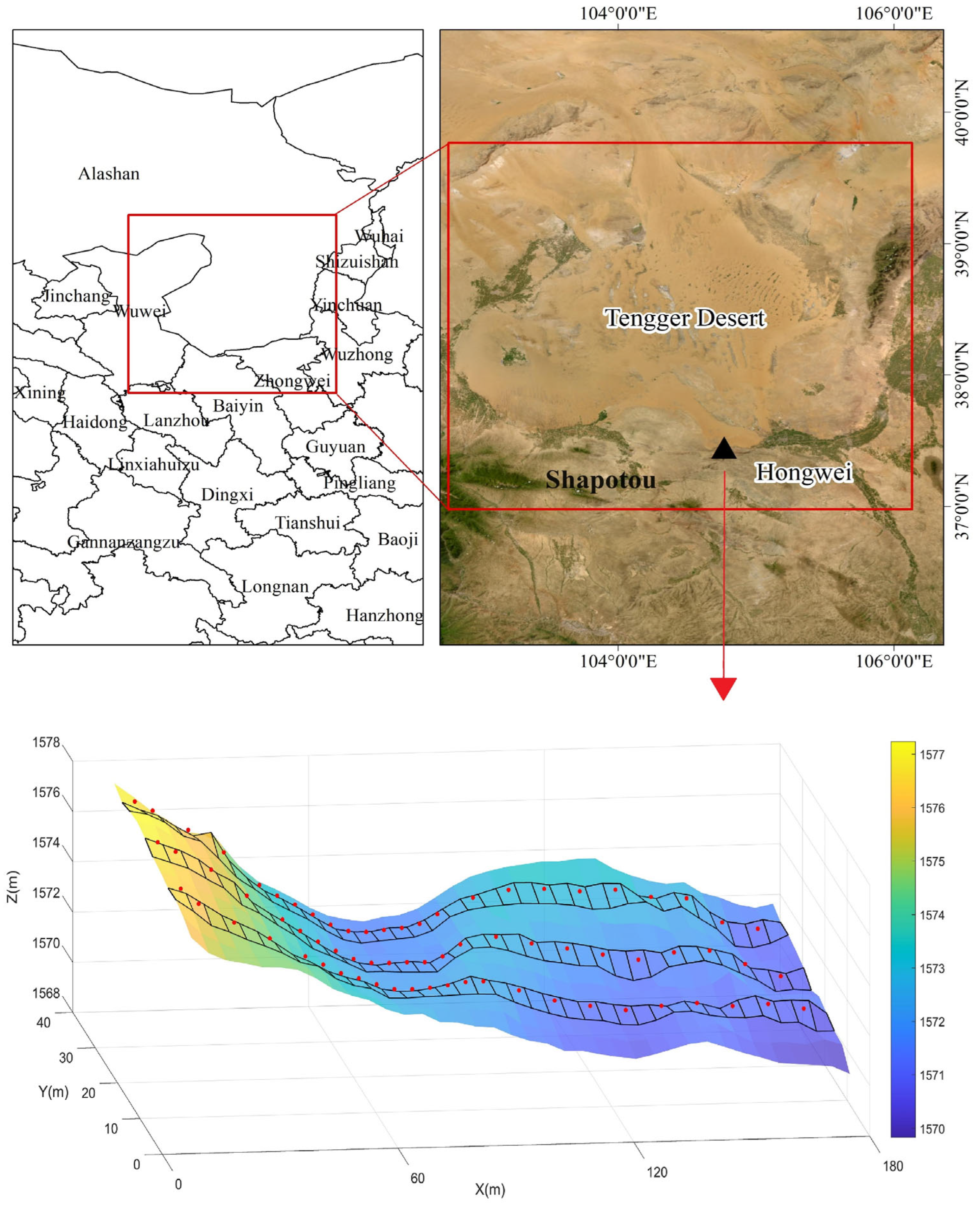 Plants 13 01571 g001
