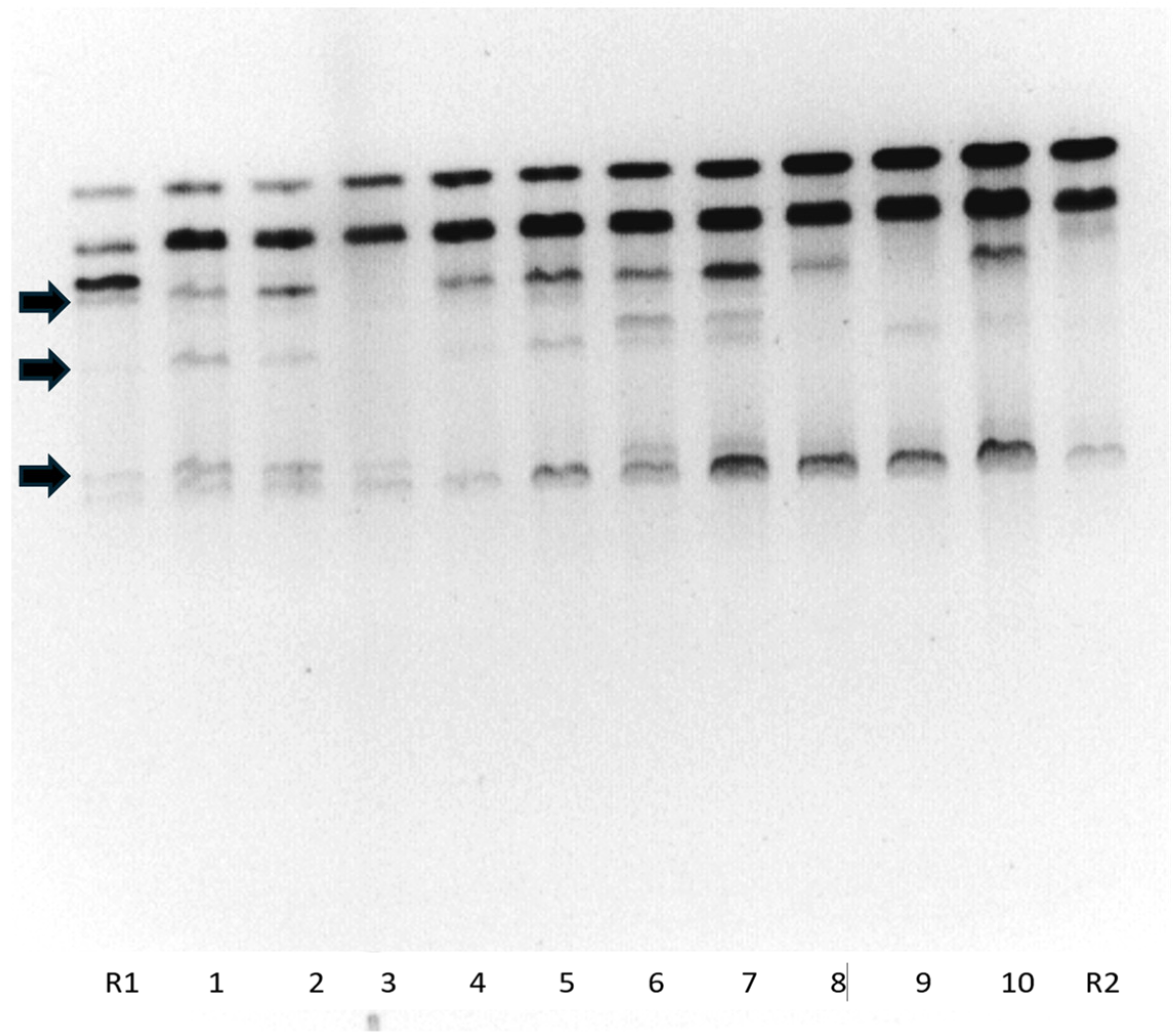 Plants 13 01578 g007