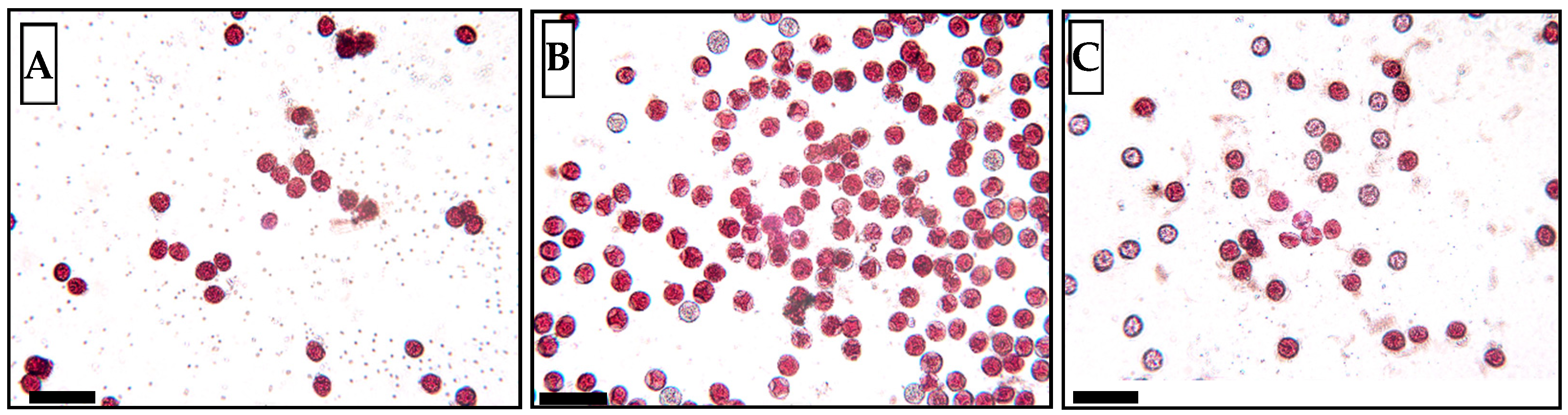 Plants 13 01578 g010