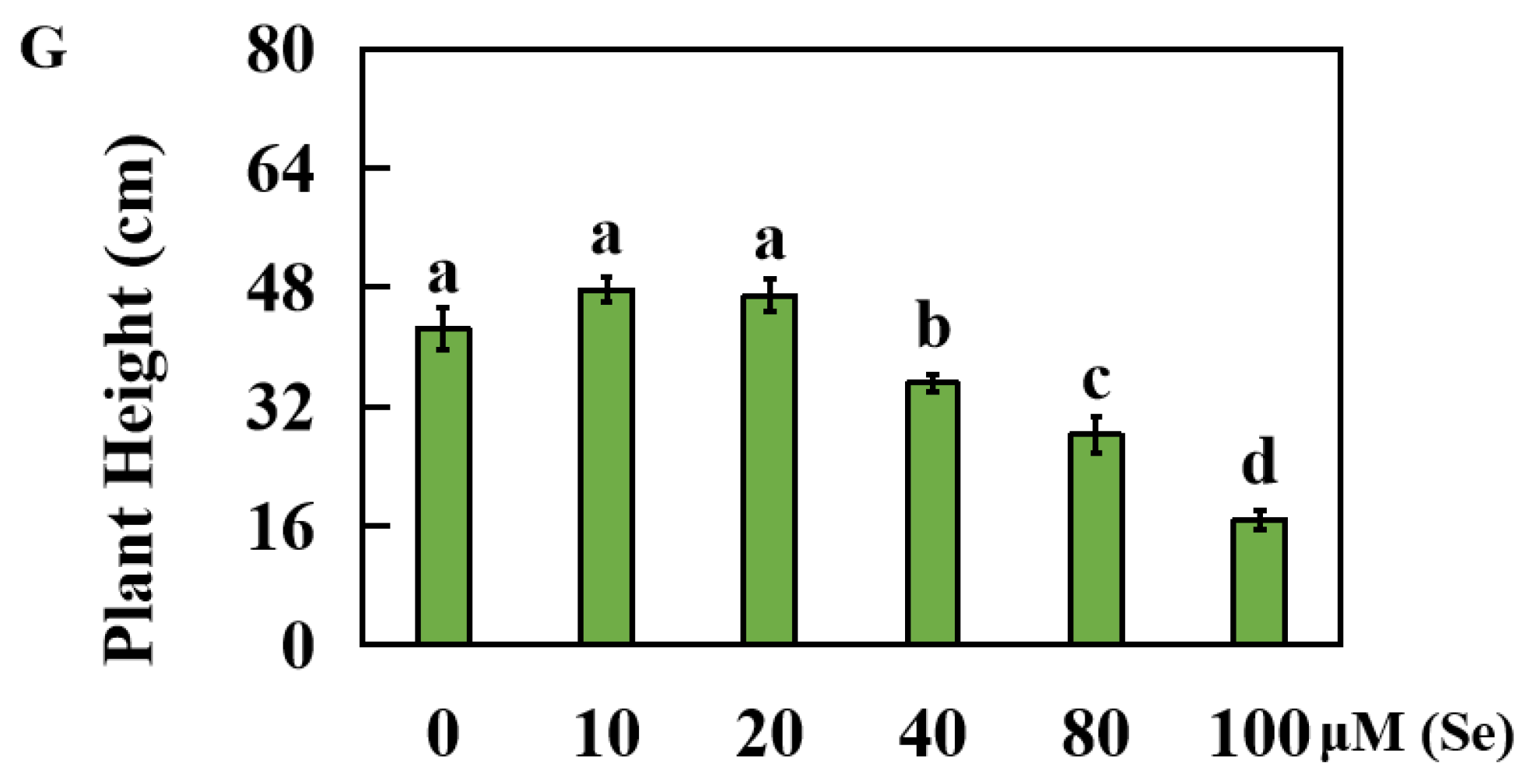 Plants 13 01580 g001b