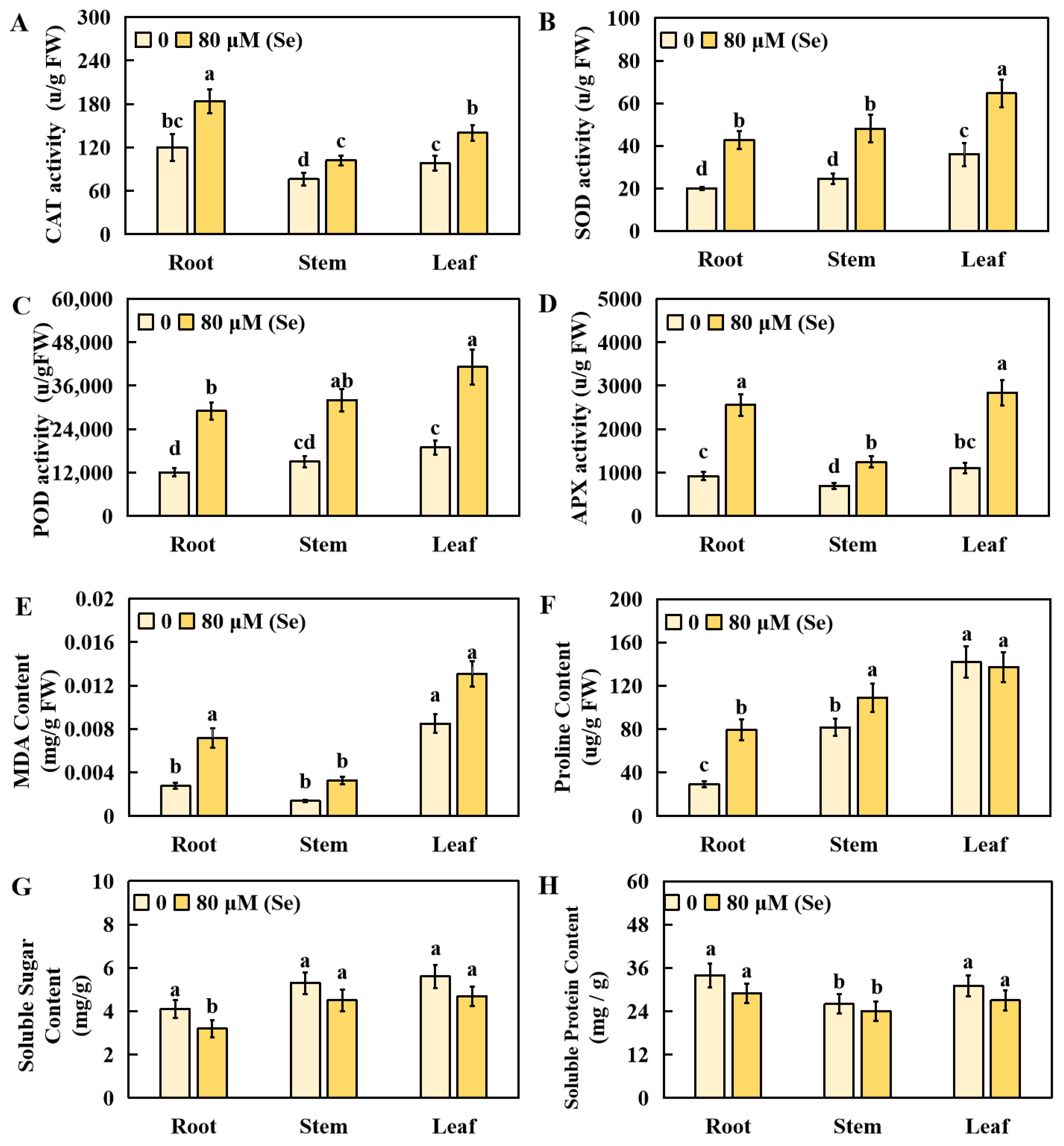 Plants 13 01580 g004
