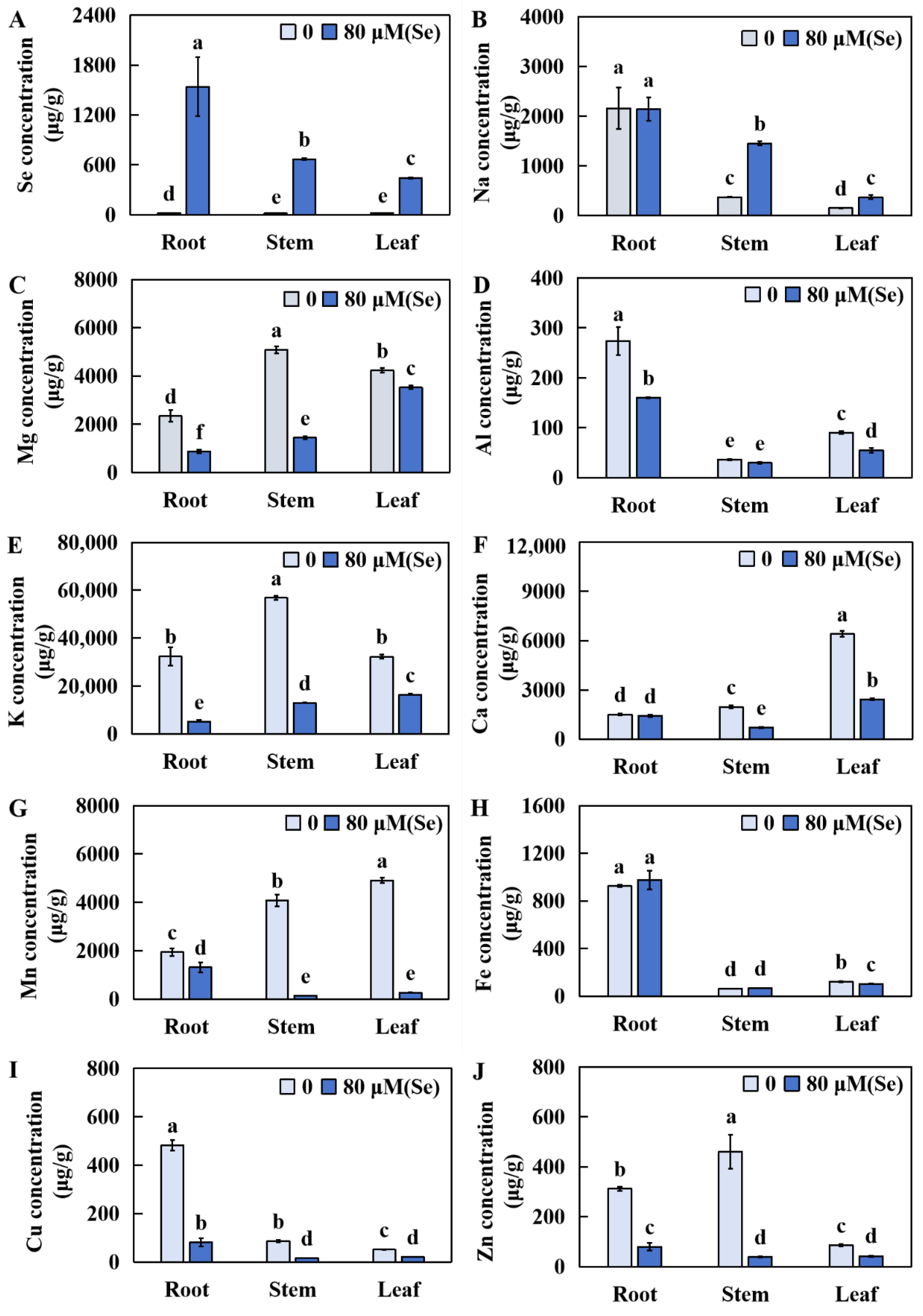 Plants 13 01580 g006