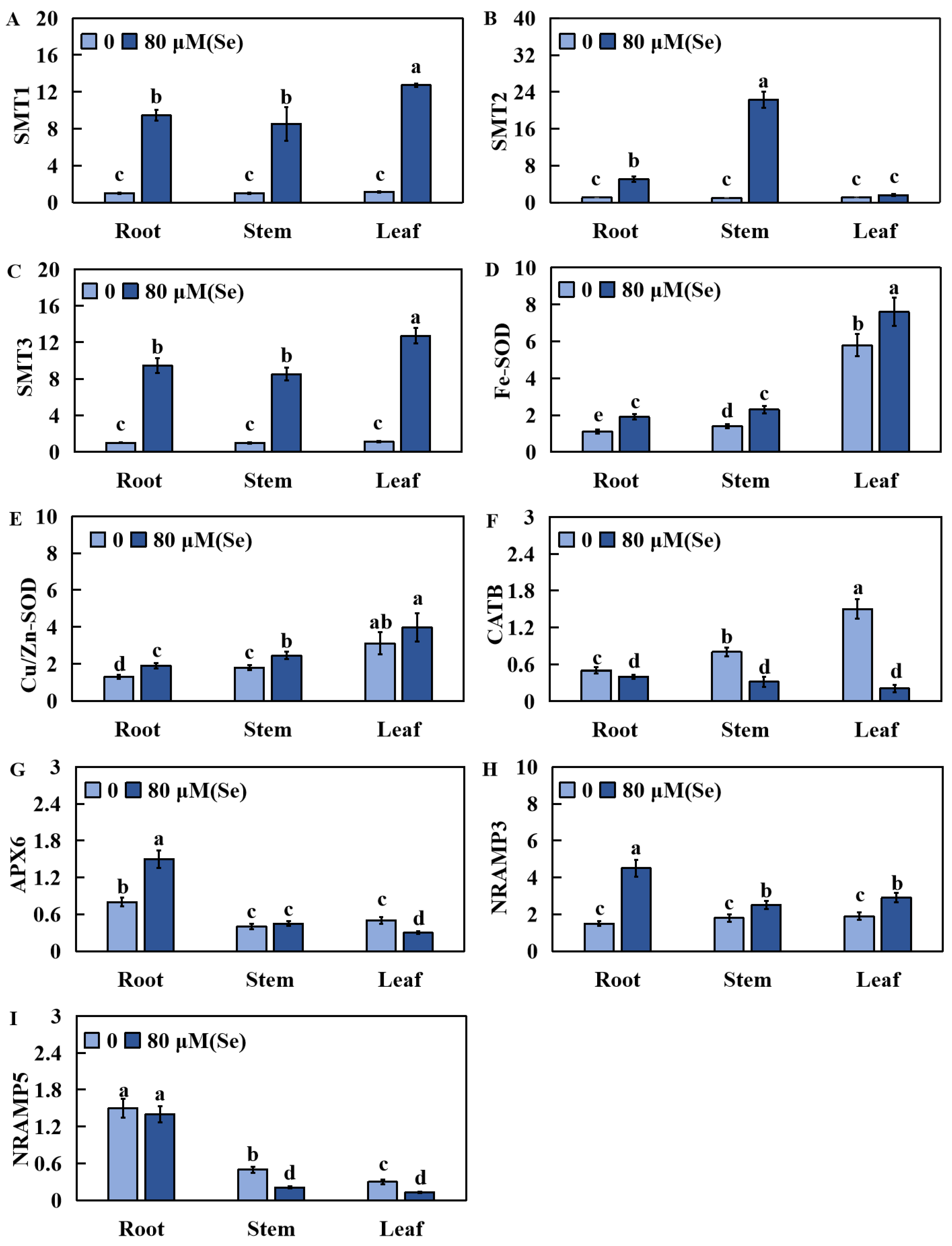 Plants 13 01580 g008