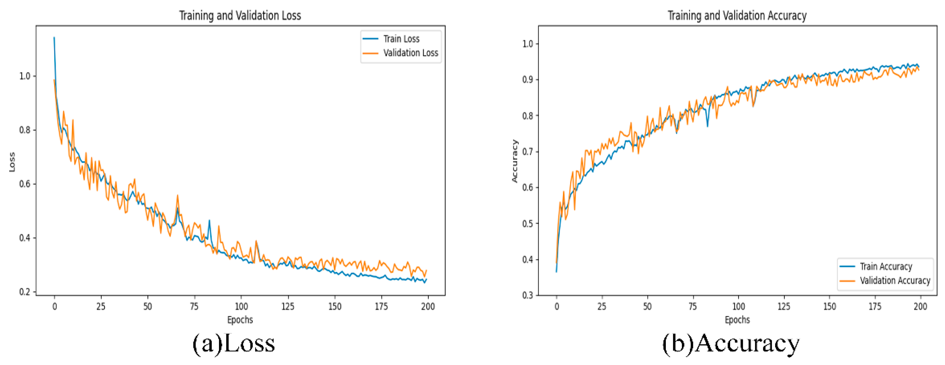 Plants 13 01581 g004