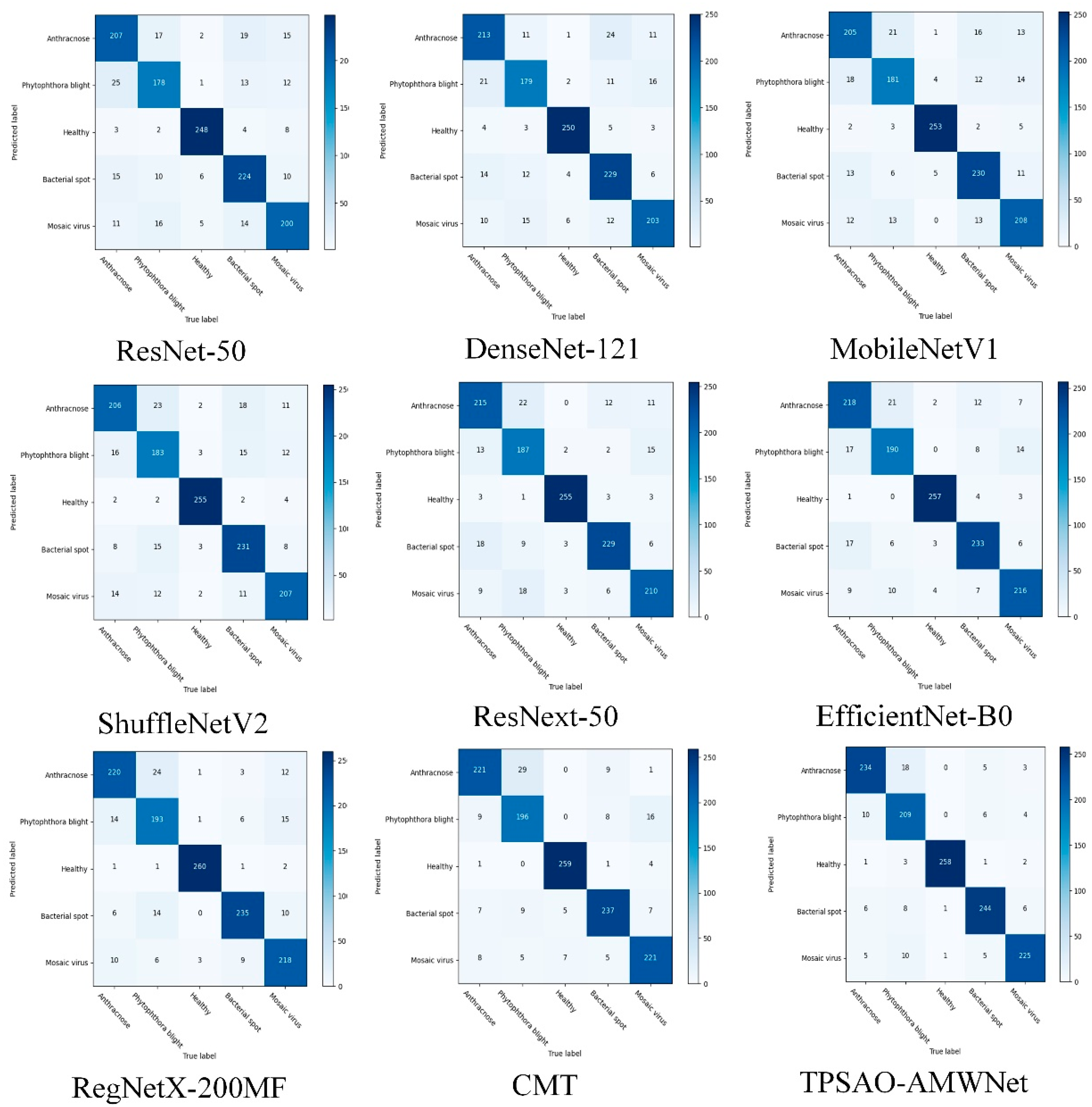 Plants 13 01581 g007