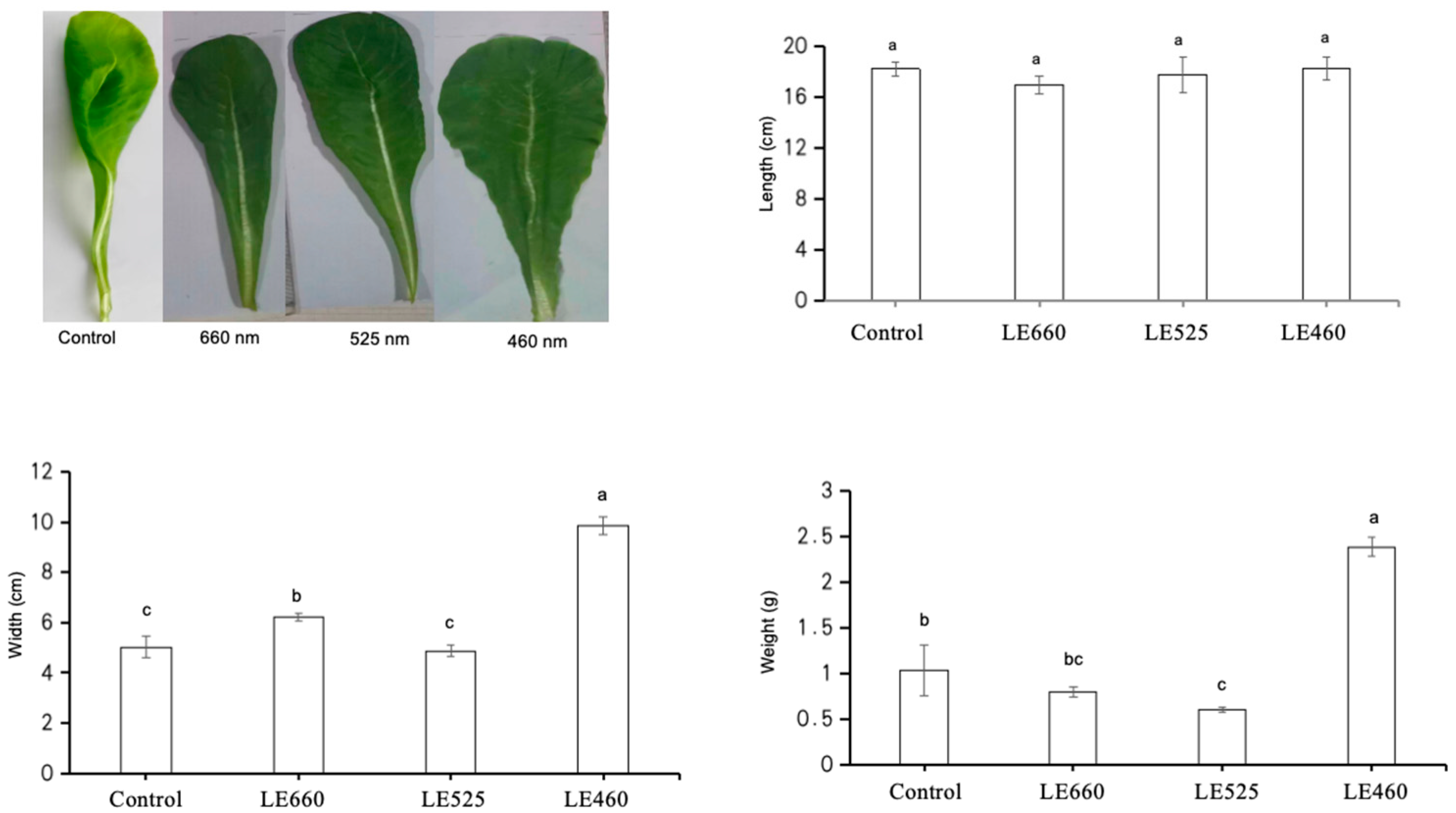 Plants 13 01582 g001