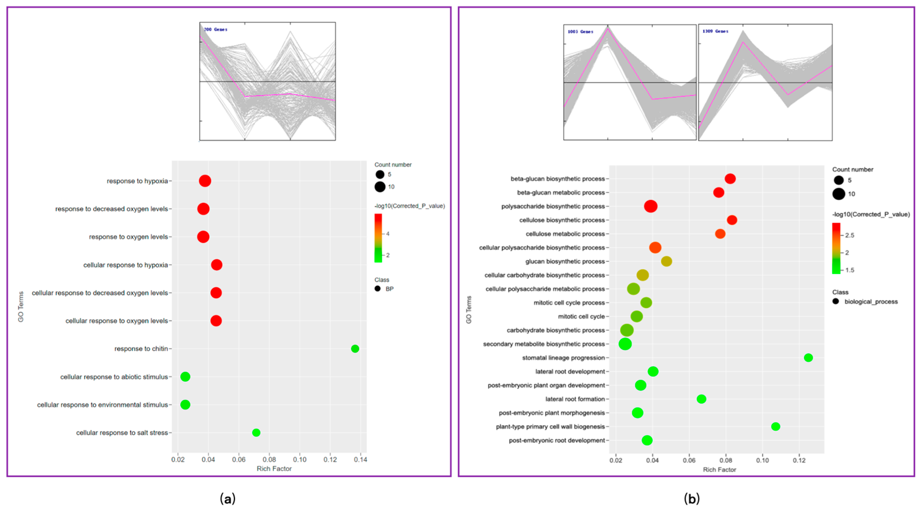 Plants 13 01582 g006