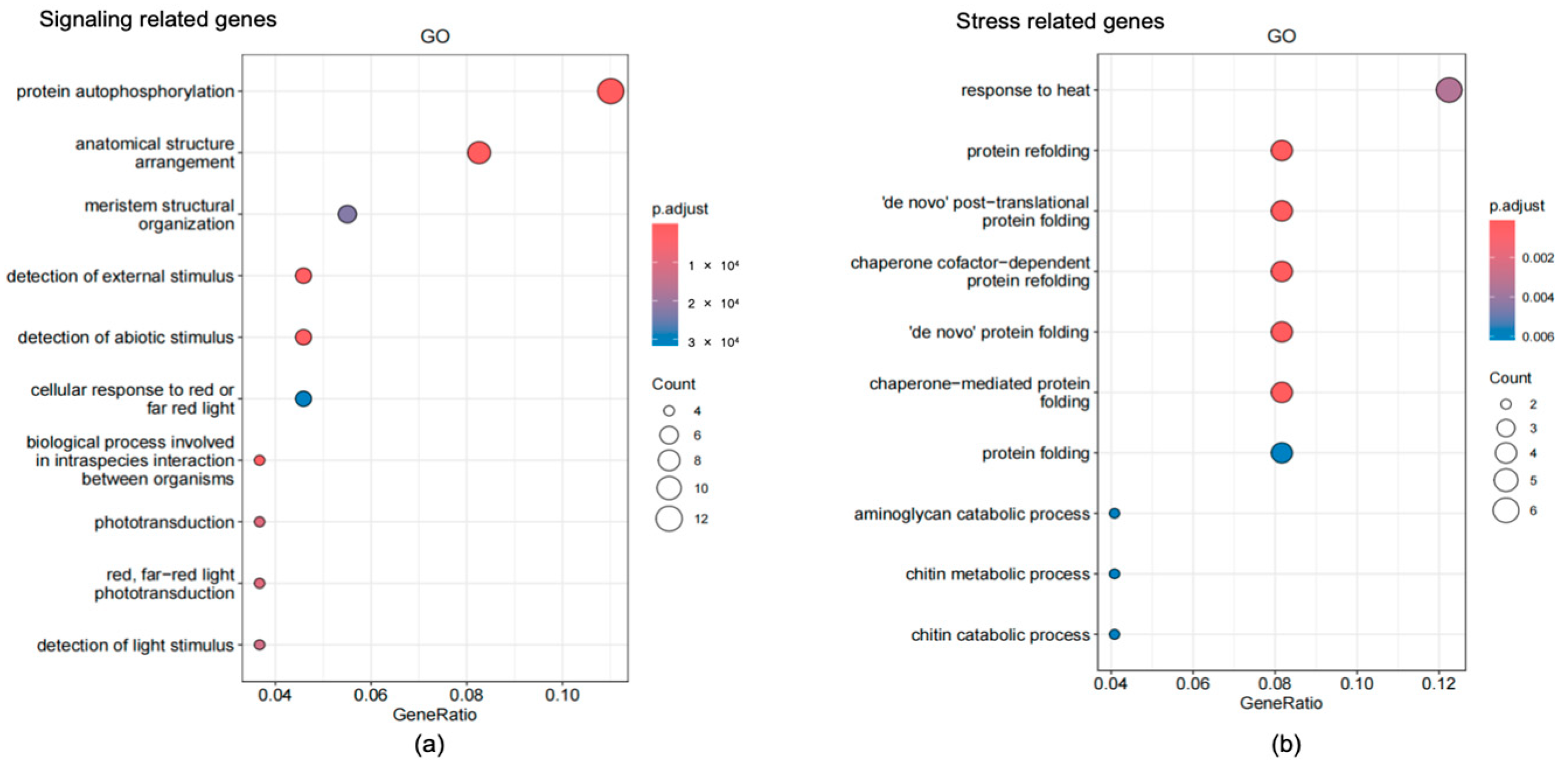 Plants 13 01582 g008