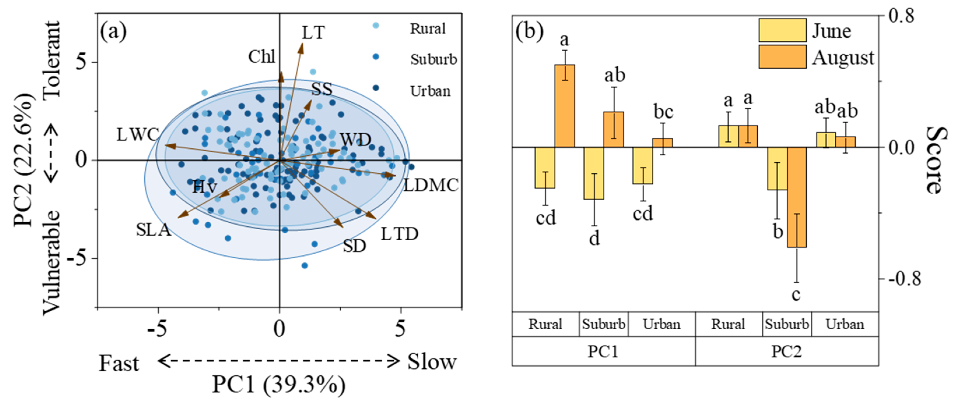 Plants 13 01586 g003