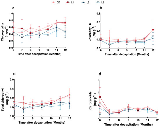 Physiological Characteristics and Transcriptomic Responses