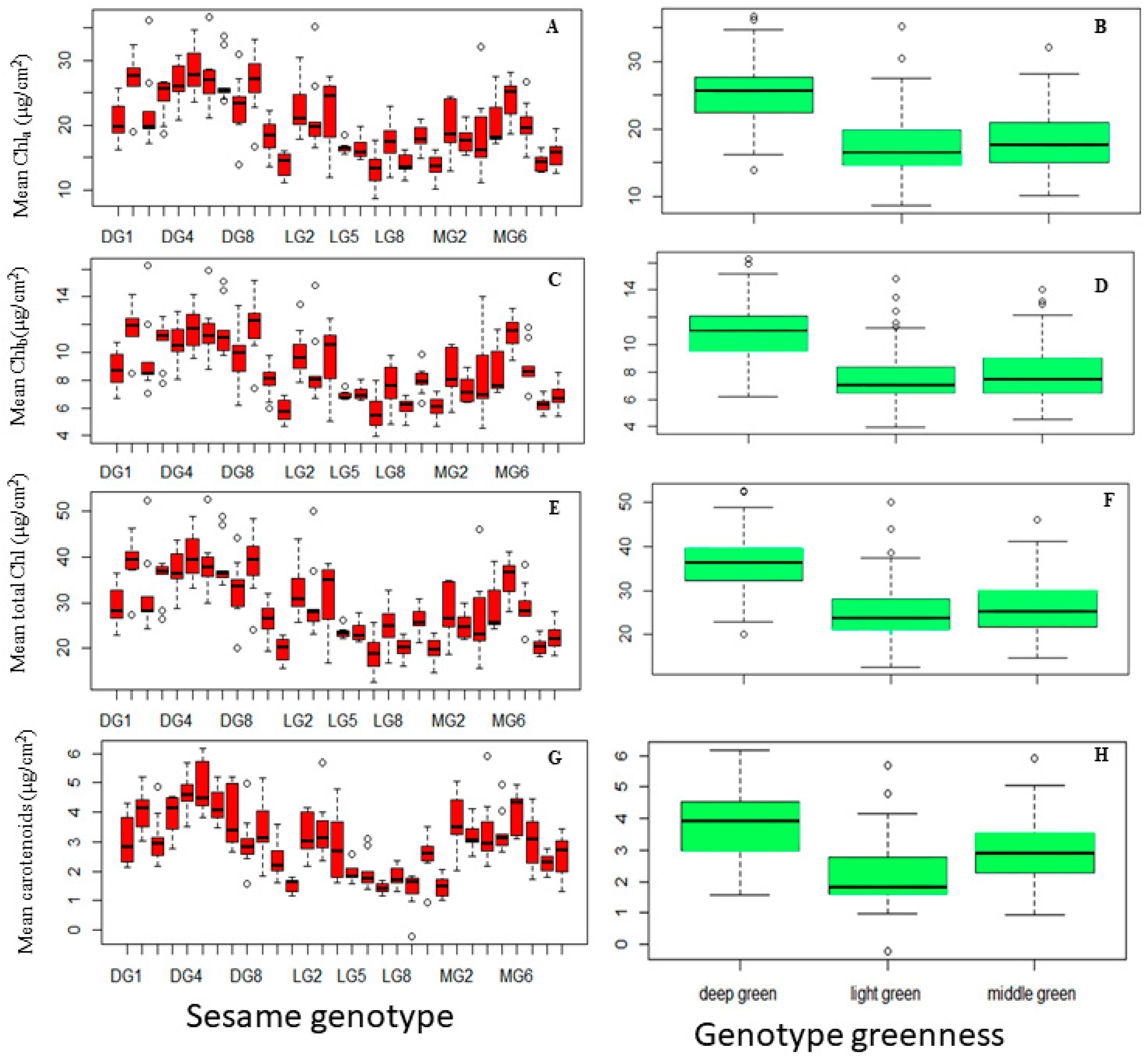 Plants 13 01589 g004