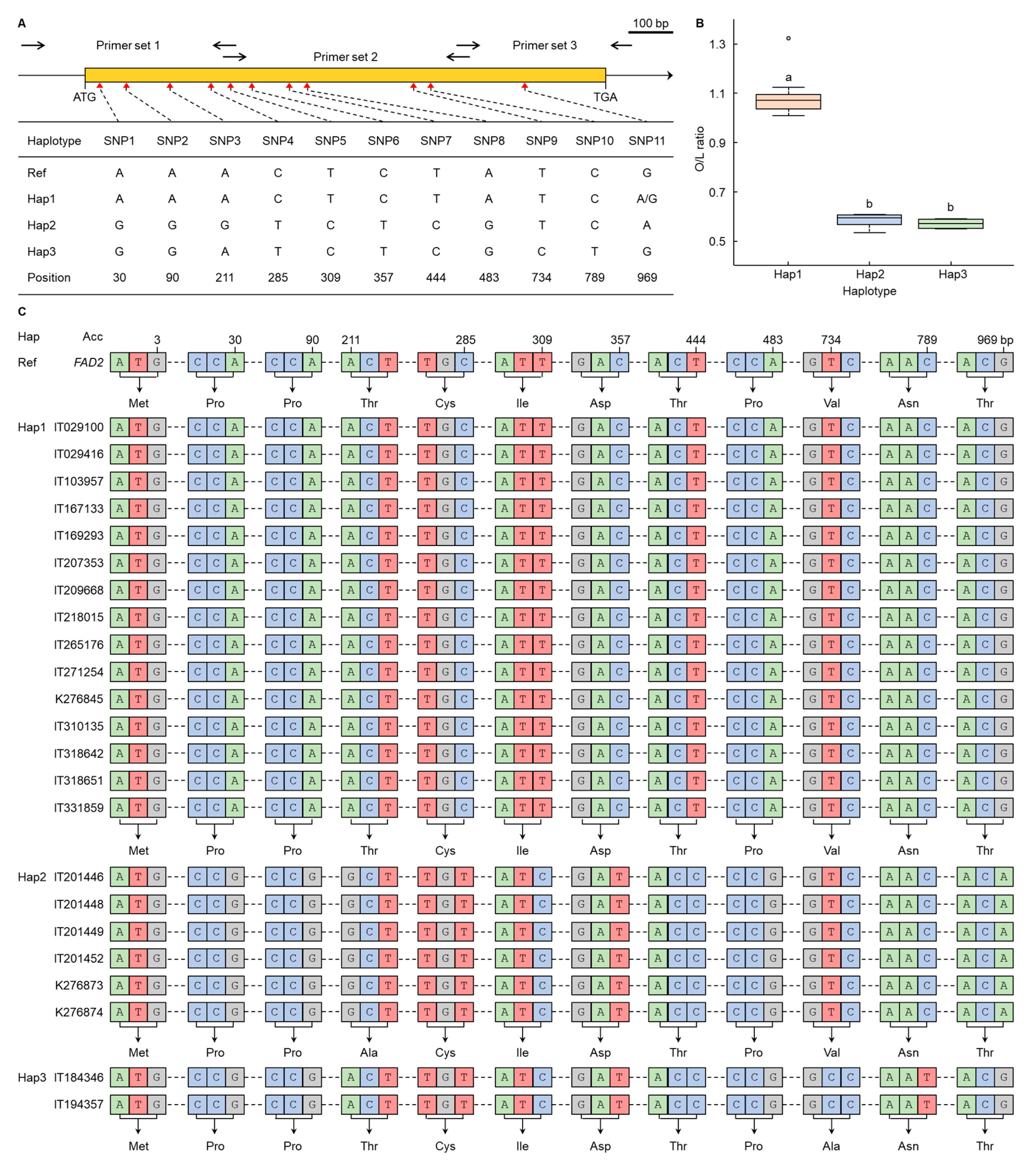 Plants 13 01590 g004