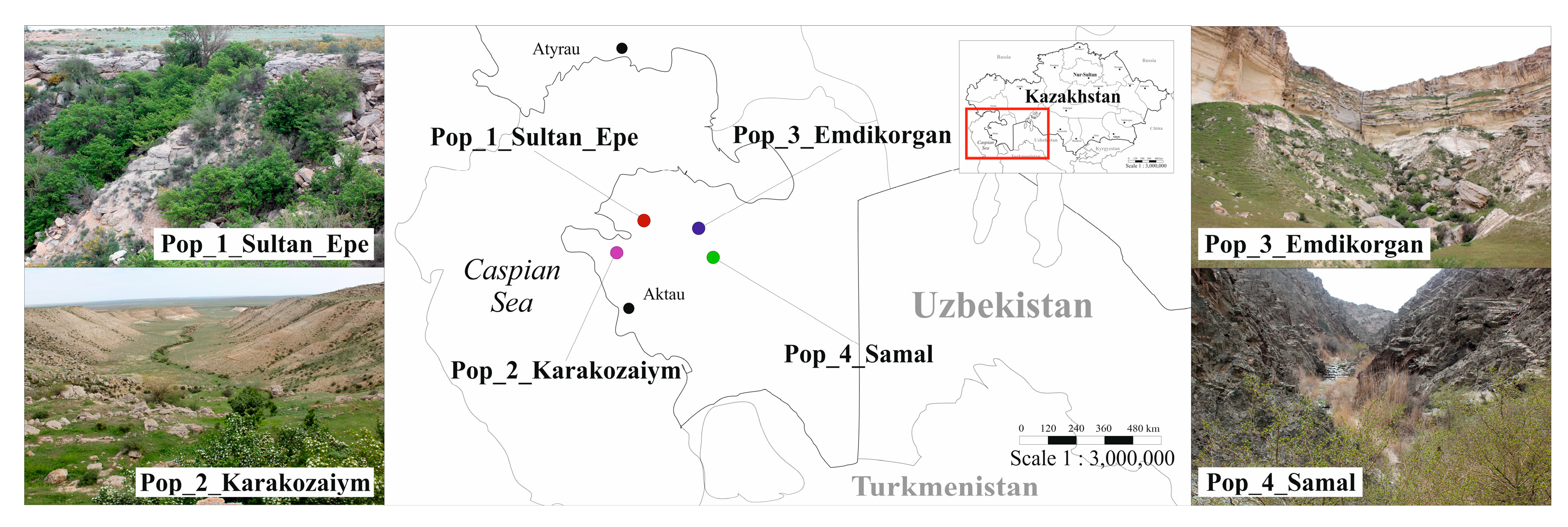 Plants 13 01591 g001 Plants 13 01591 g001