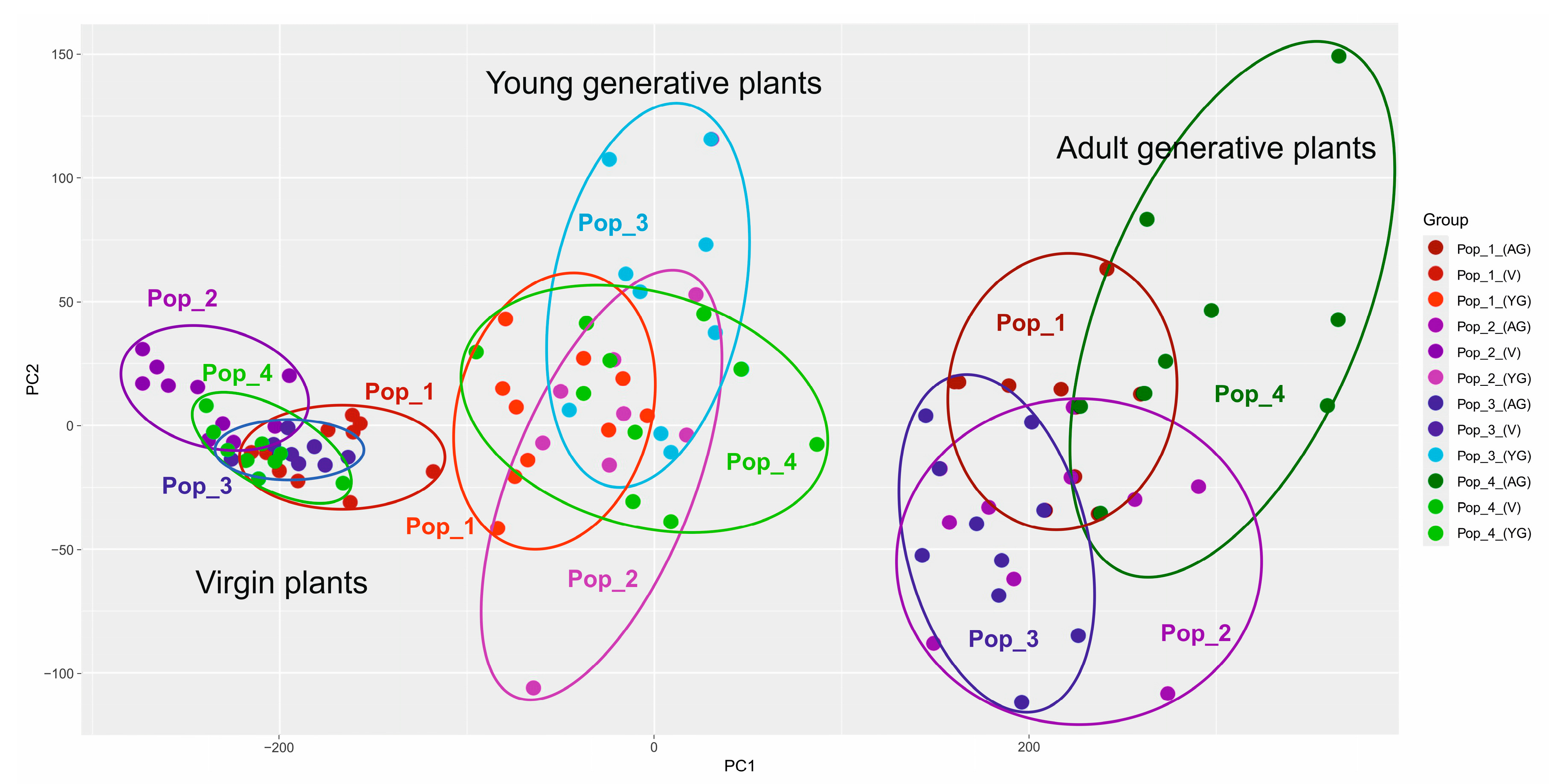 Plants 13 01591 g007 Plants 13 01591 g007