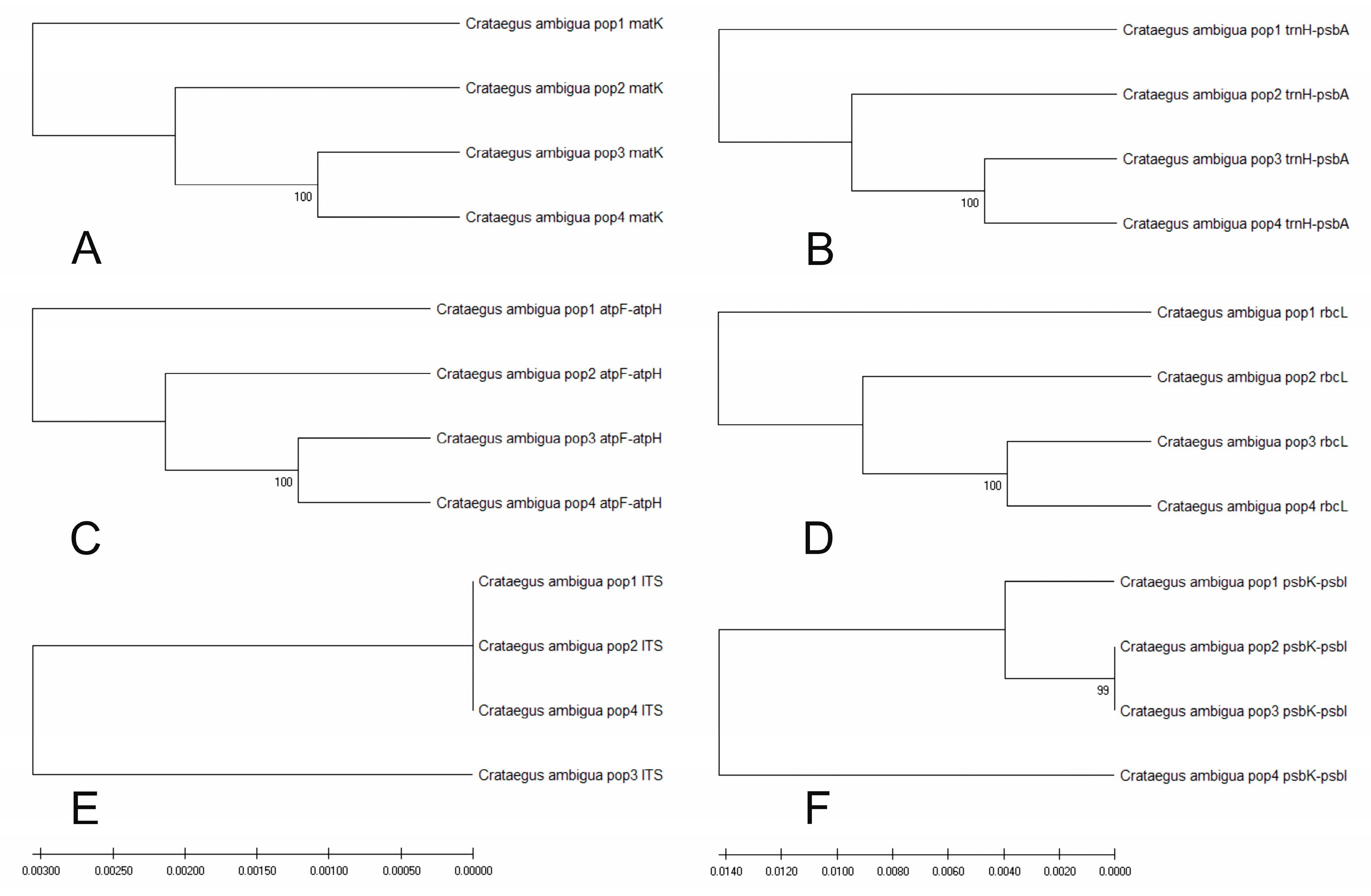 Plants 13 01591 g010 Plants 13 01591 g010