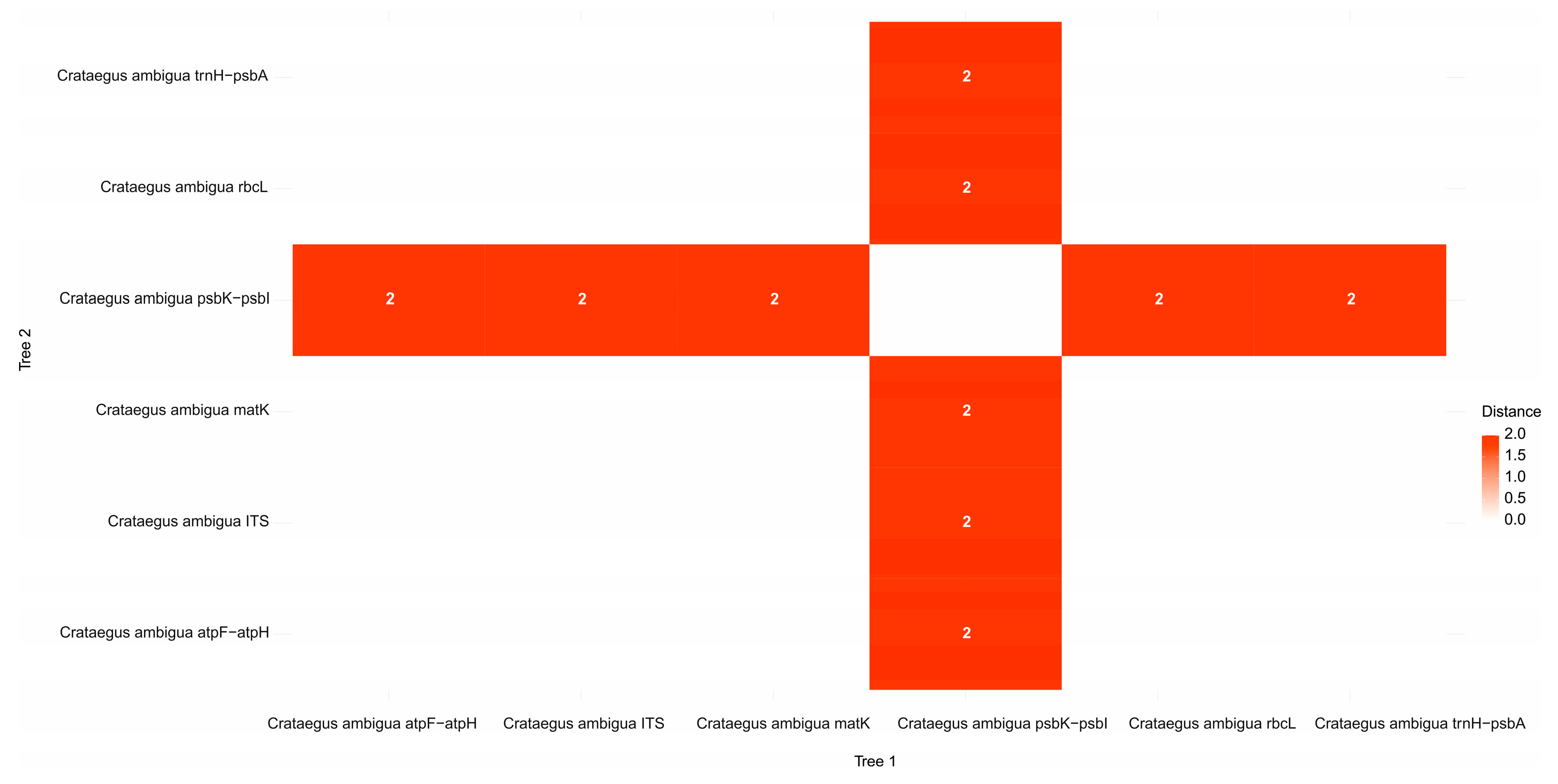 Plants 13 01591 g011 Plants 13 01591 g011