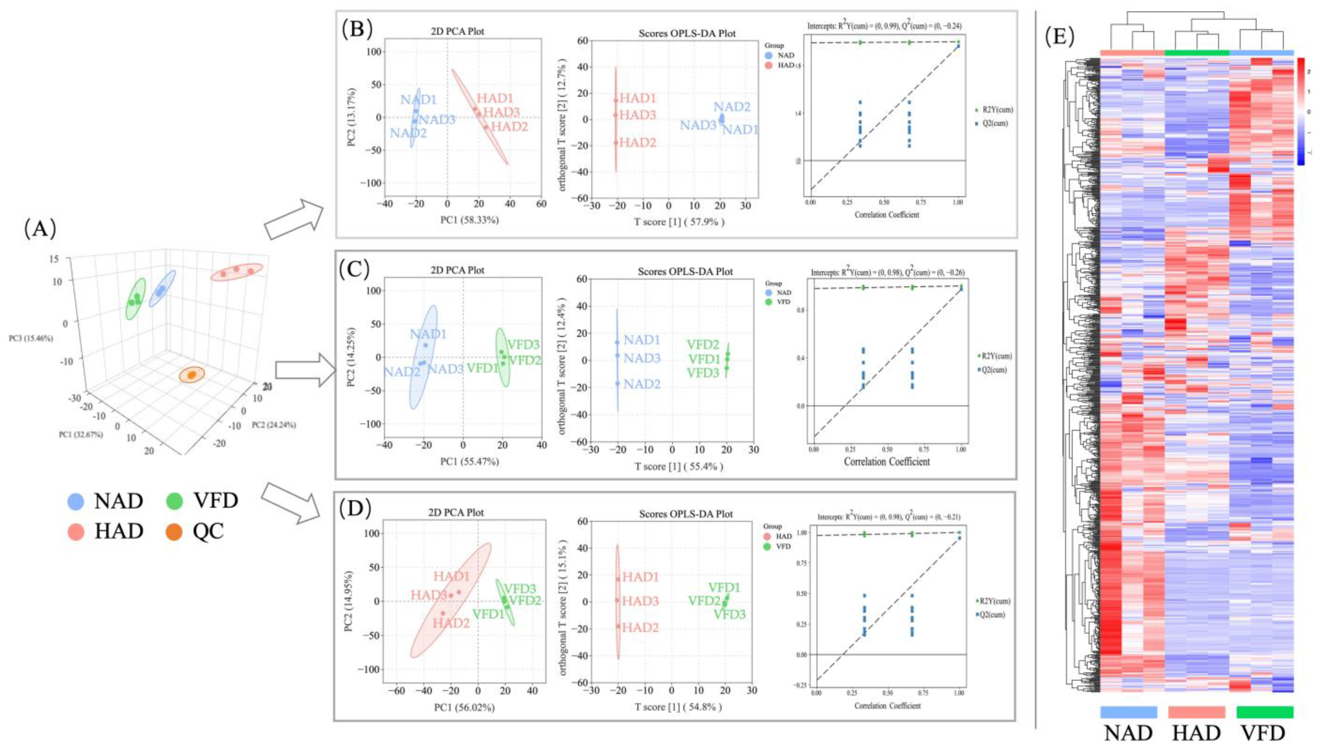 Plants 13 01594 g002
