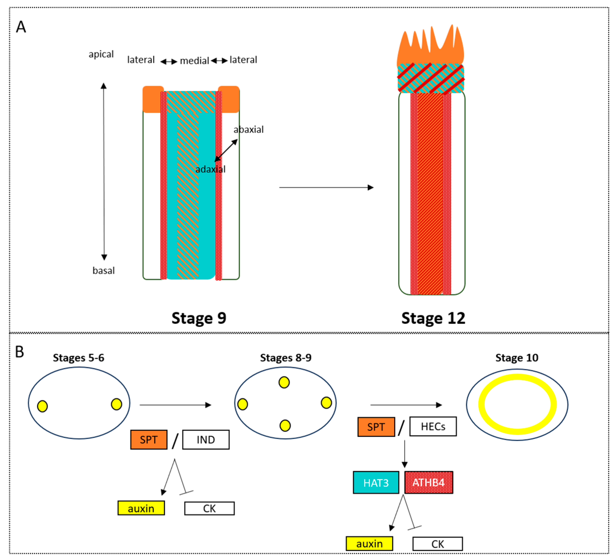 Plants 13 01595 g003