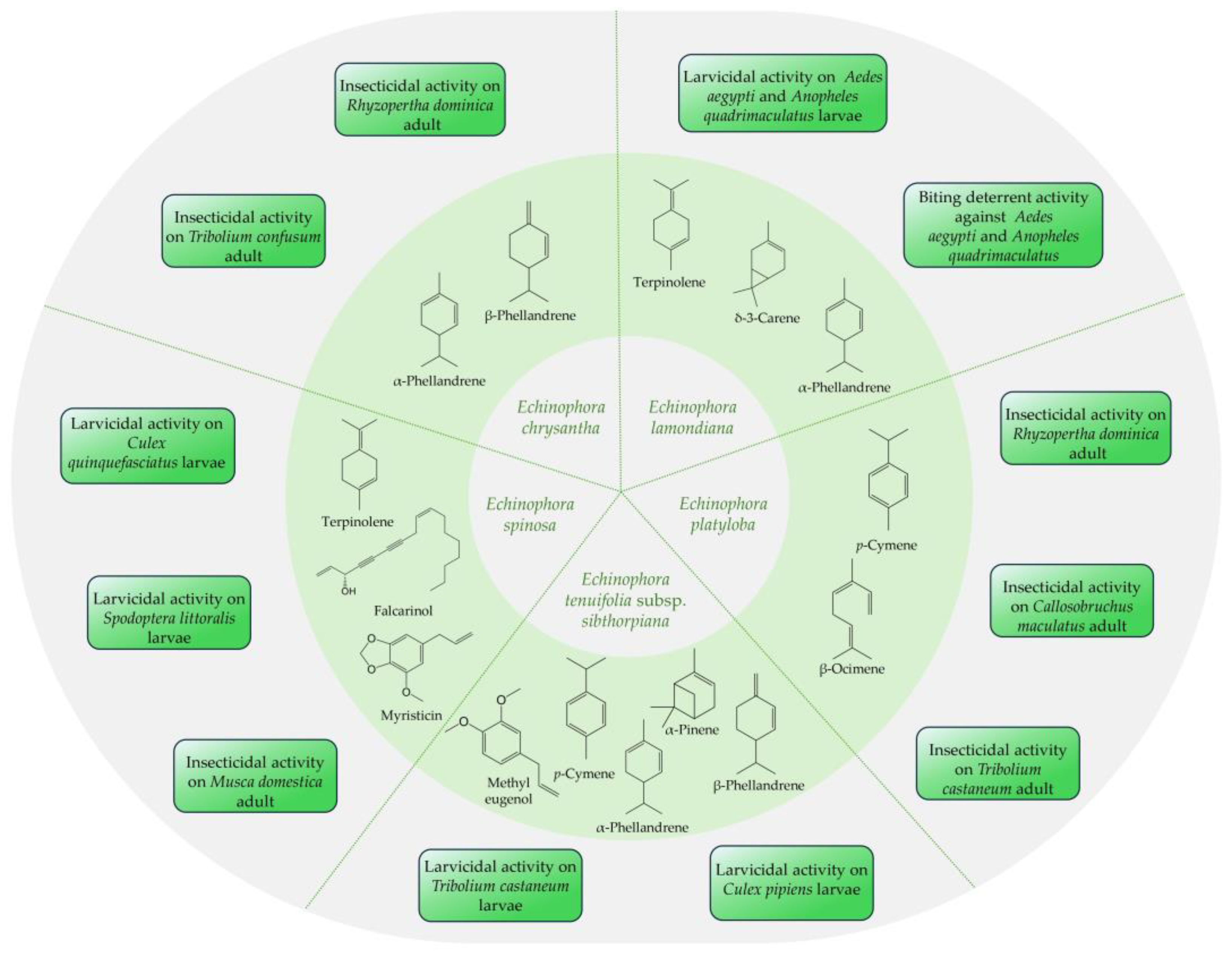 Plants 13 01599 g003 Plants 13 01599 g003