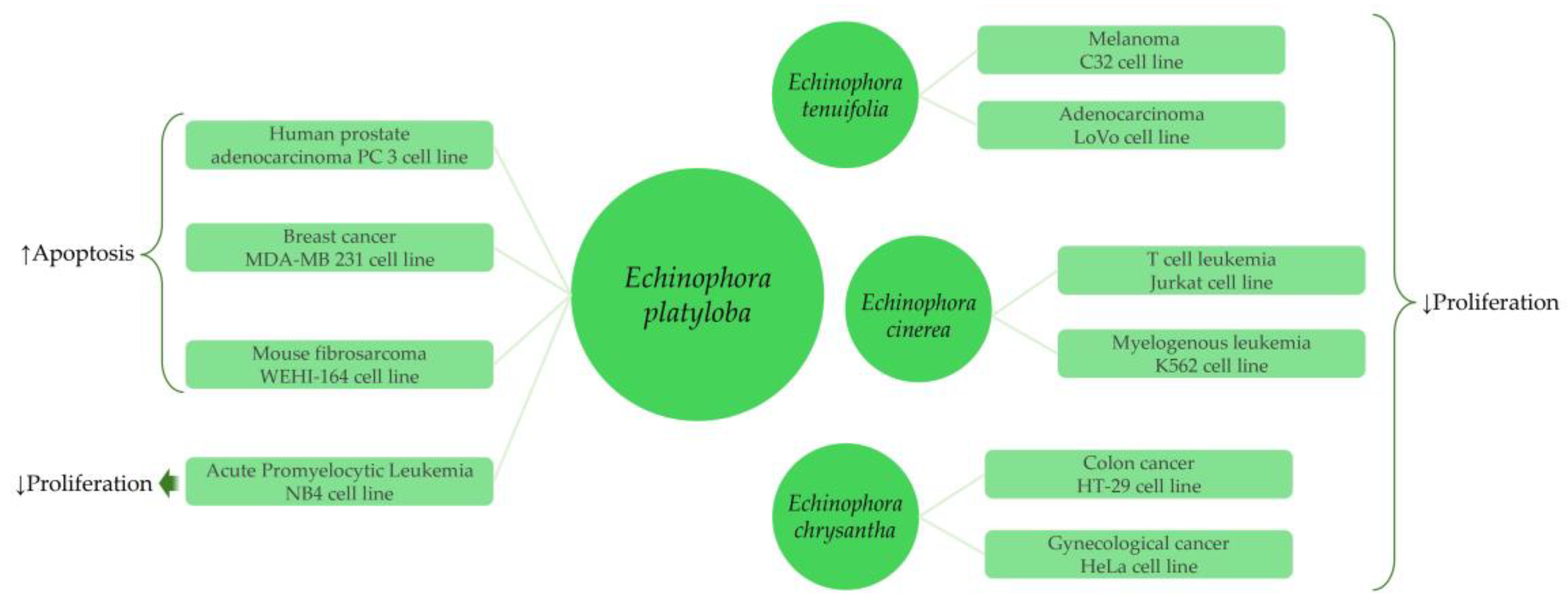 Plants 13 01599 g004 Plants 13 01599 g004